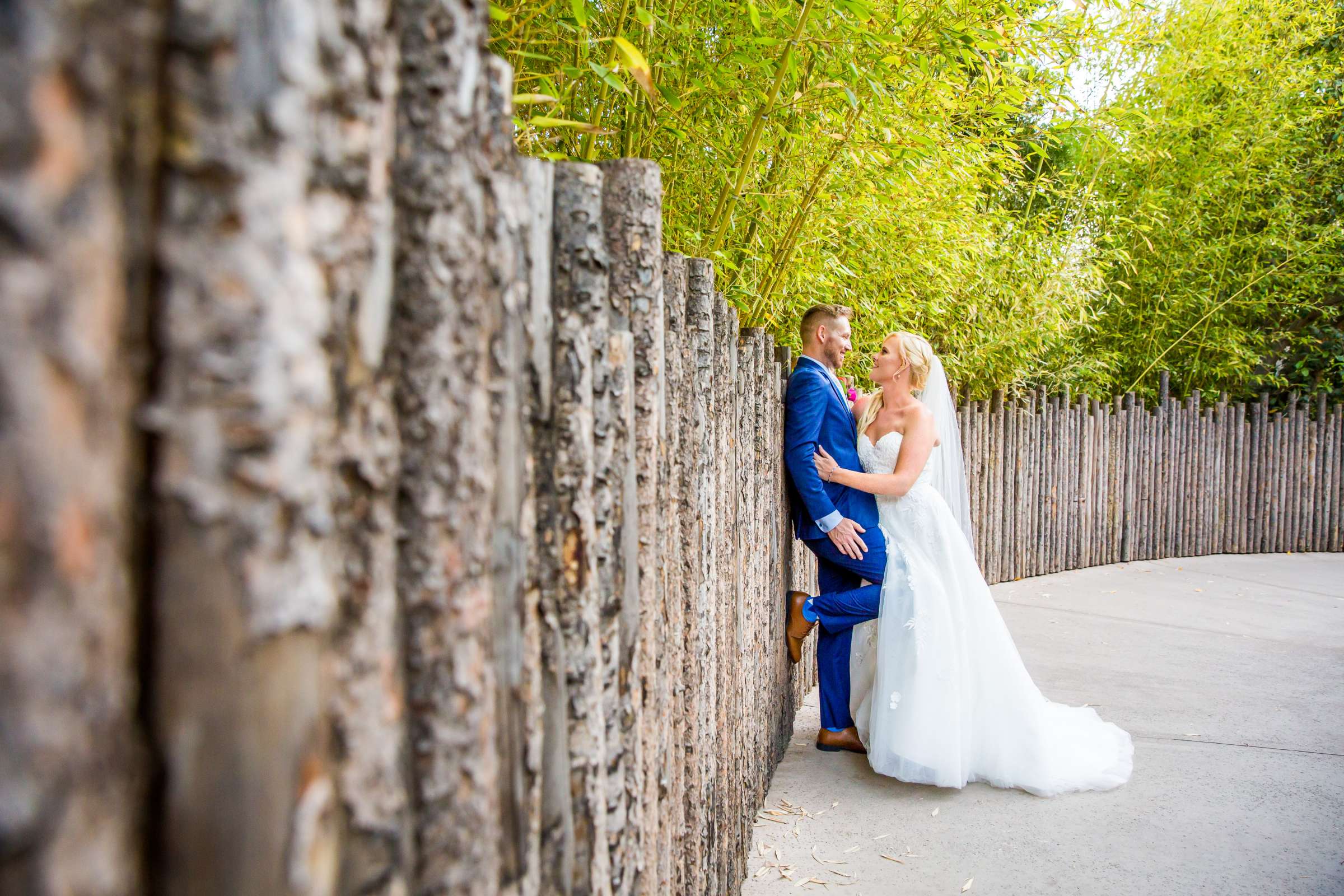 Safari Park Wedding, Madison and Christopher Wedding Photo #12 by True Photography