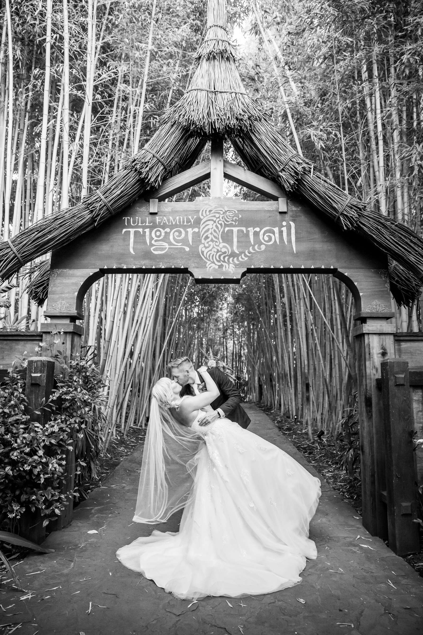 Safari Park Wedding, Madison and Christopher Wedding Photo #10 by True Photography