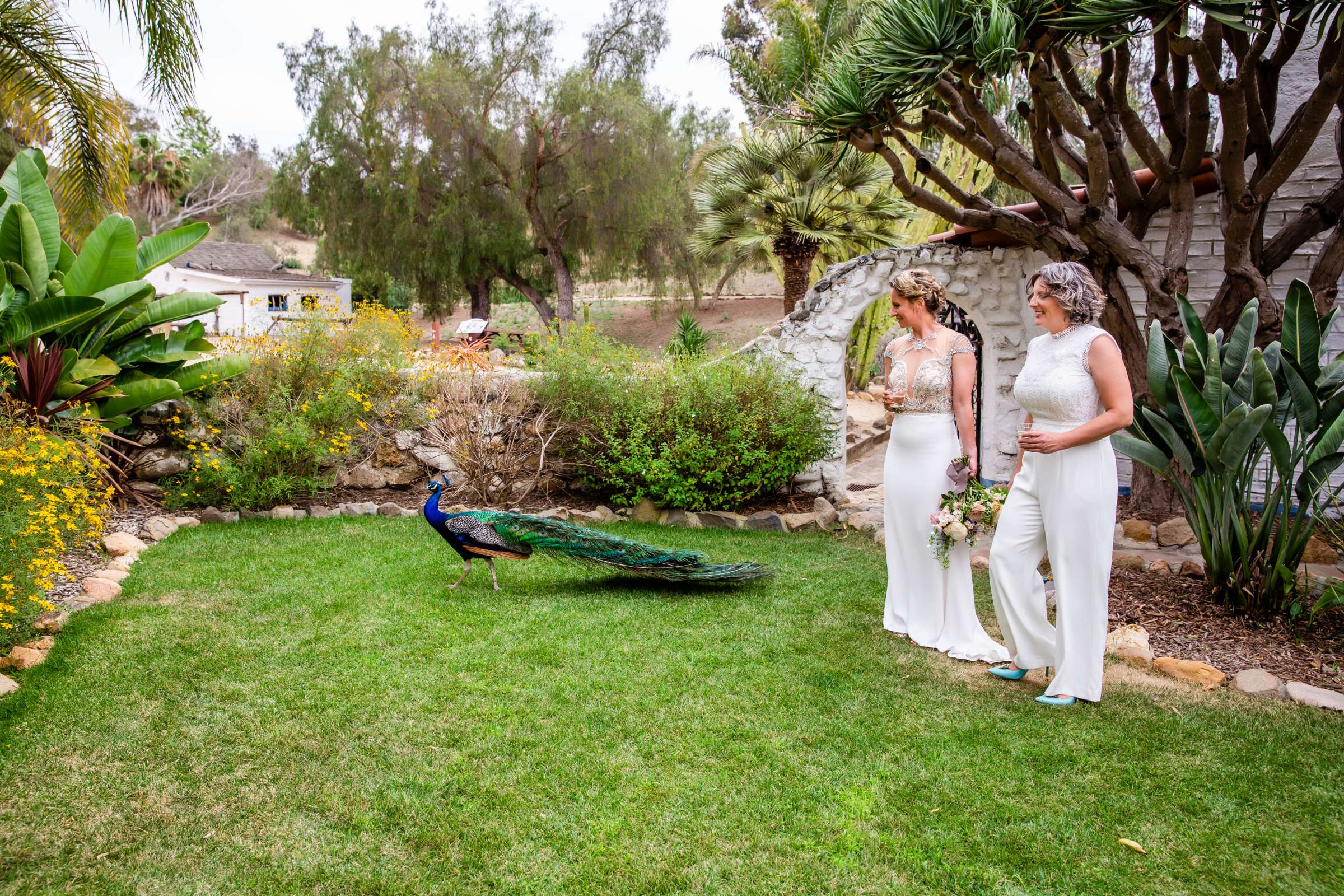 Leo Carrillo Ranch Wedding, Rose and Emily Wedding Photo #80 by True Photography