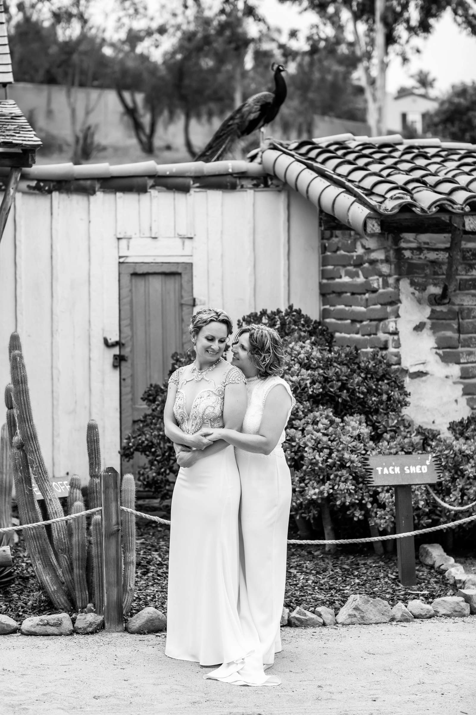 Leo Carrillo Ranch Wedding, Rose and Emily Wedding Photo #83 by True Photography