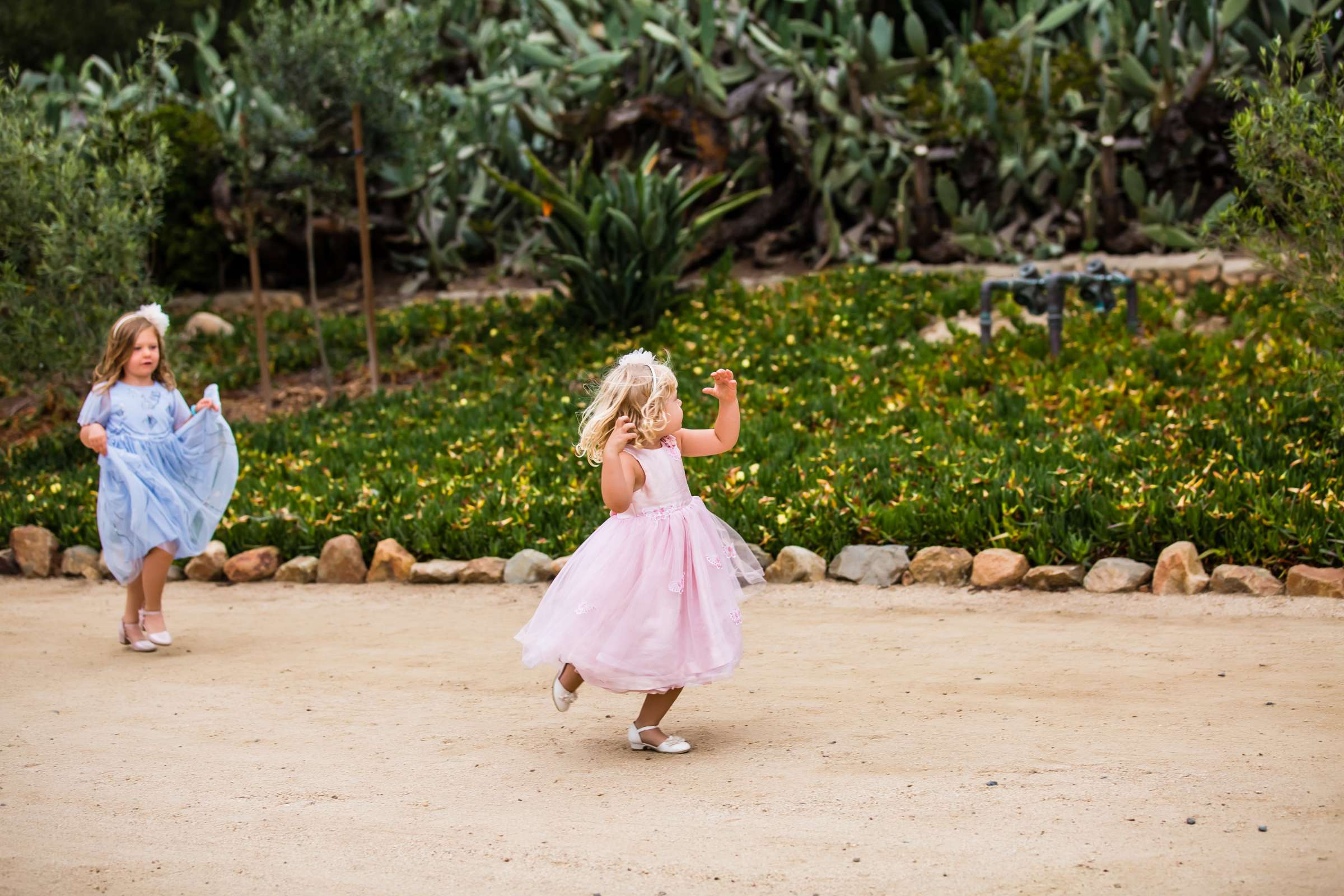 Leo Carrillo Ranch Wedding, Rose and Emily Wedding Photo #95 by True Photography