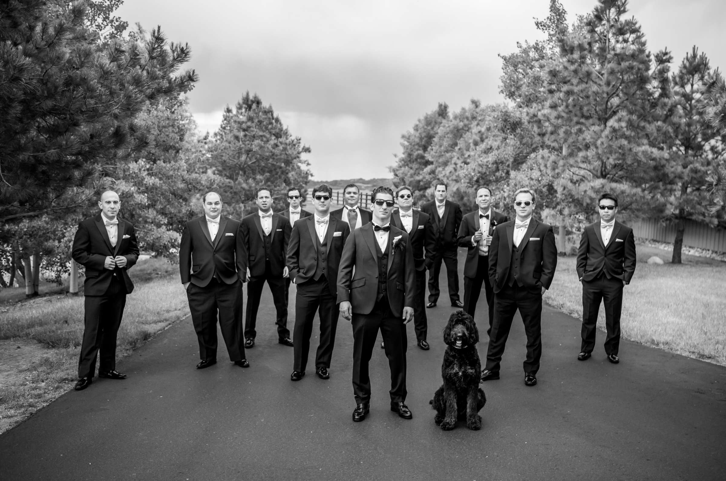 Spruce Mountain Wedding coordinated by A Touch Of Bliss, Jill and Jeff Wedding Photo #59 by True Photography