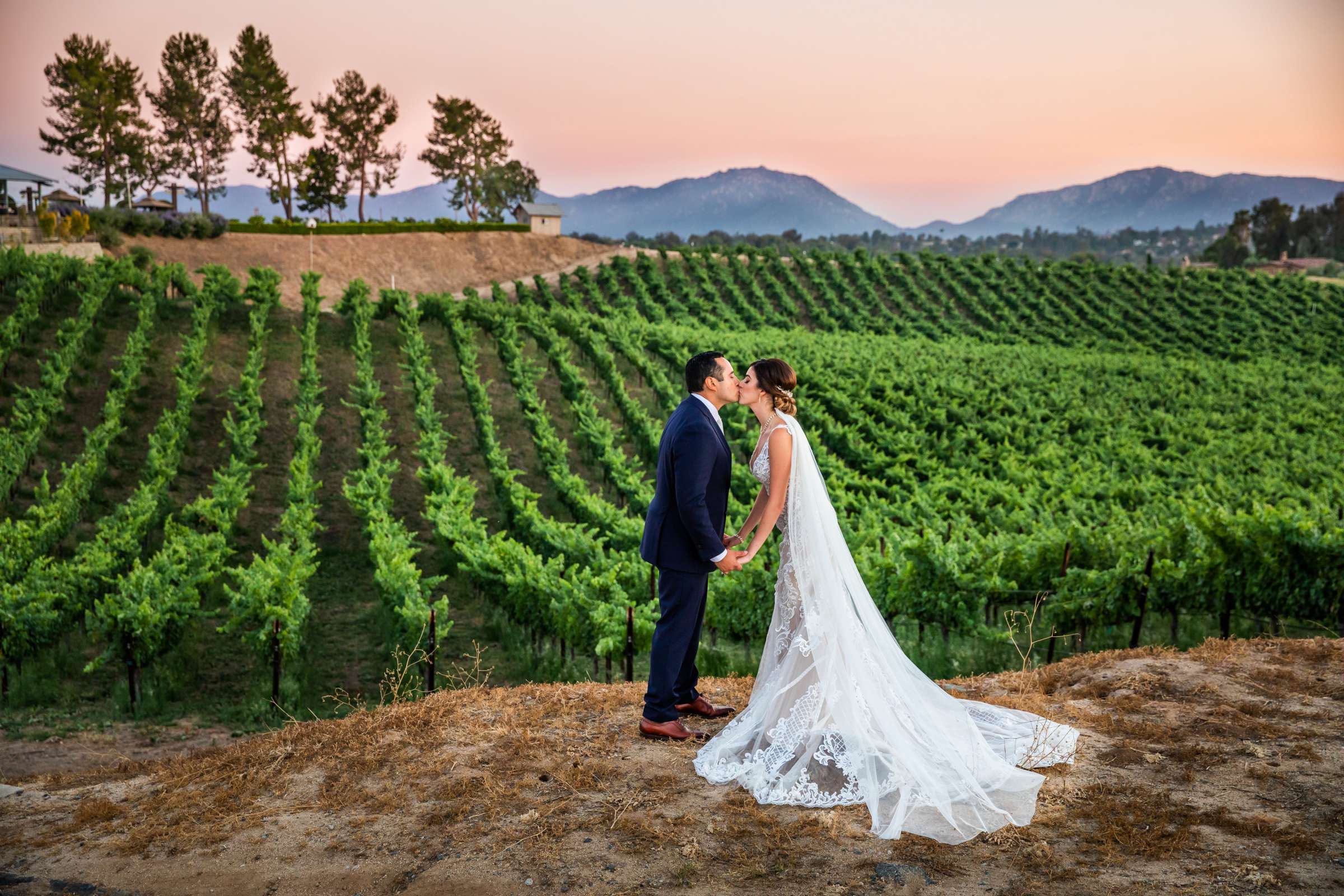 Callaway Vineyards & Winery Wedding coordinated by Michelle Garibay Events, Chelsea and Luis carlos Wedding Photo #1 by True Photography
