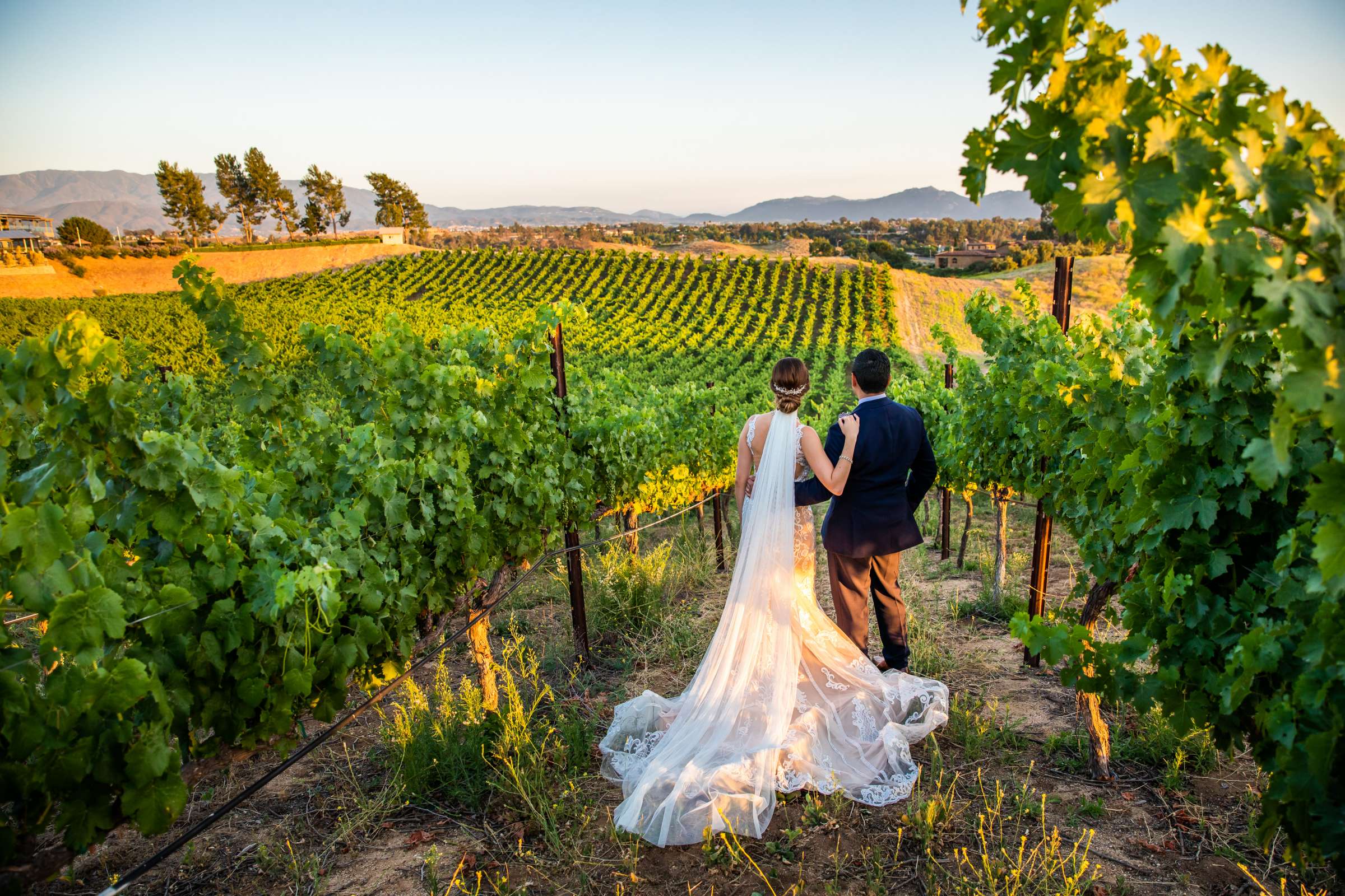 Callaway Vineyards & Winery Wedding coordinated by Michelle Garibay Events, Chelsea and Luis carlos Wedding Photo #26 by True Photography