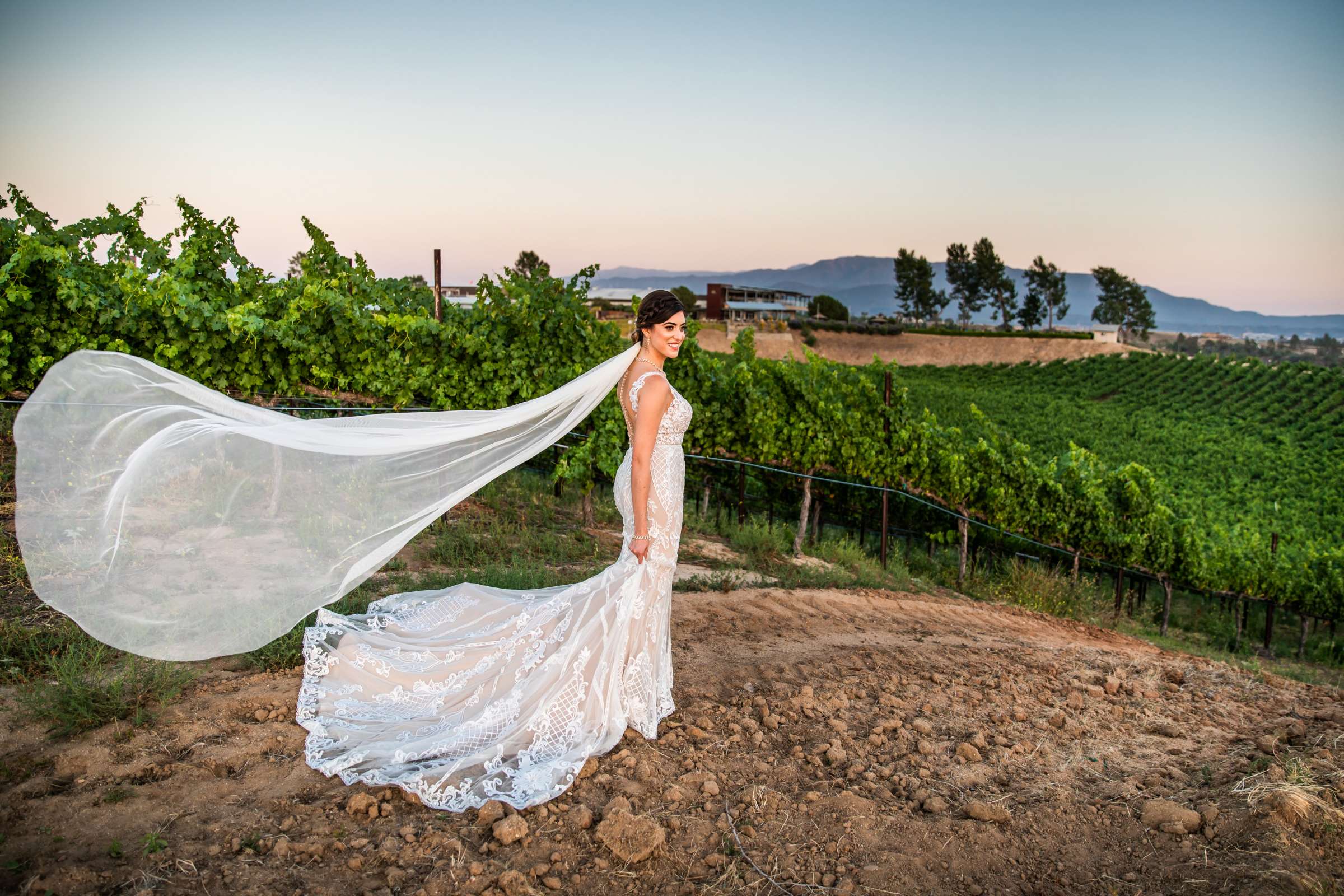 Callaway Vineyards & Winery Wedding coordinated by Michelle Garibay Events, Chelsea and Luis carlos Wedding Photo #112 by True Photography