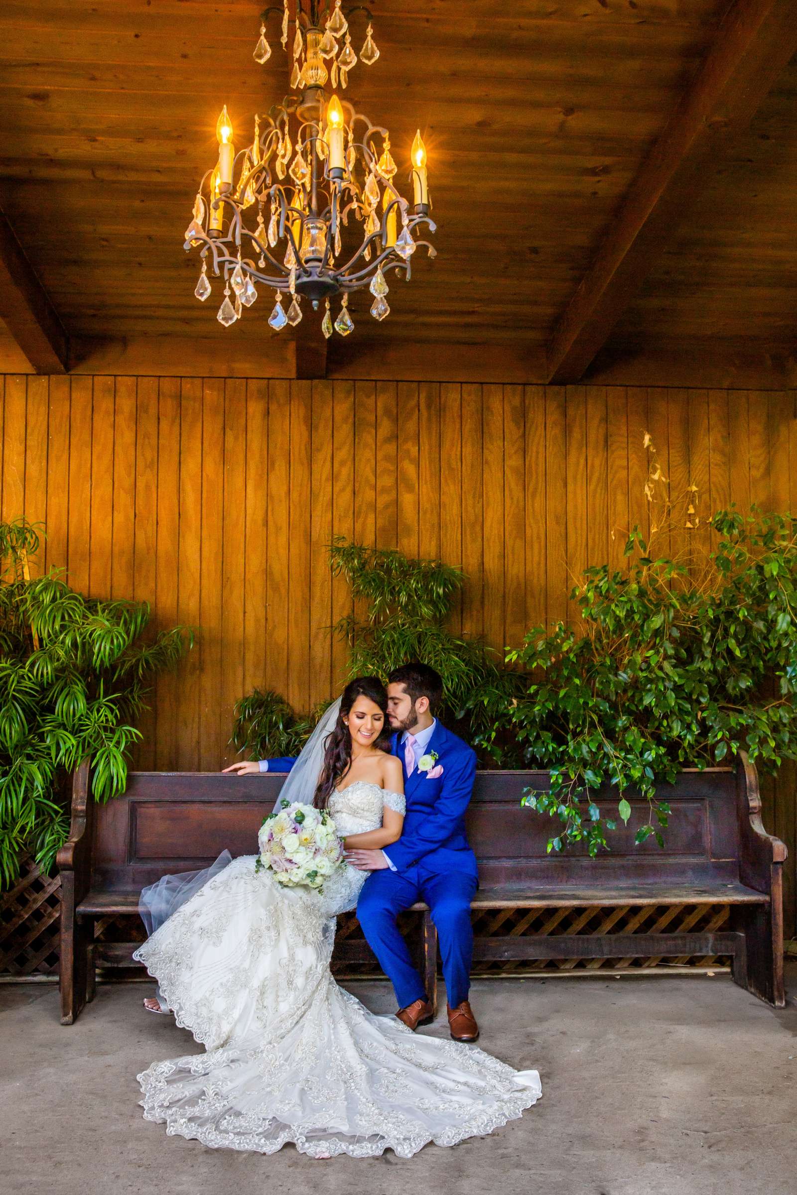 Twin Oaks House & Gardens Wedding Estate Wedding, Shireen and David Wedding Photo #25 by True Photography