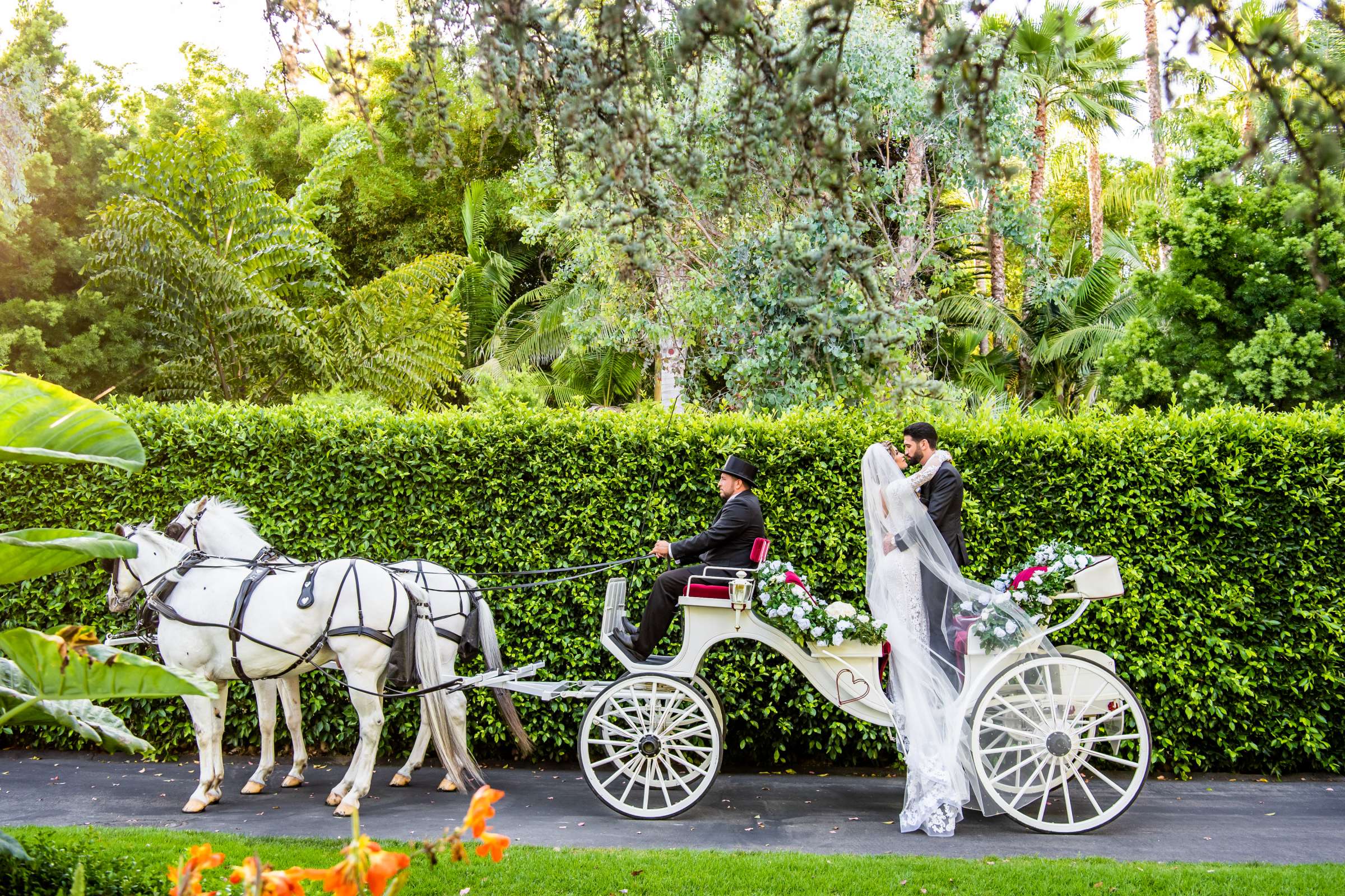 Grand Tradition Estate Wedding, Lisa and Omar Wedding Photo #1 by True Photography