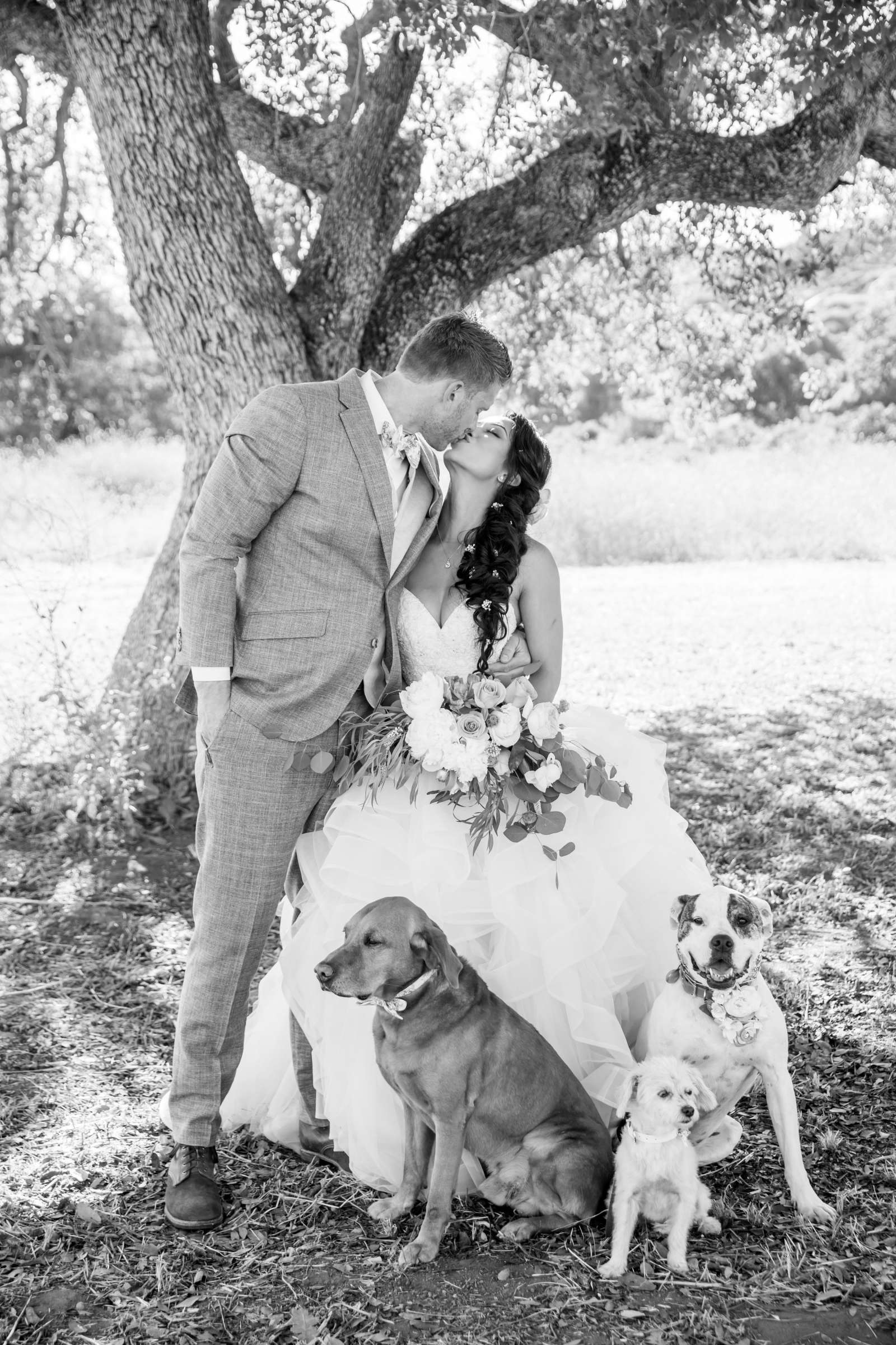 The Bradford Ranch Wedding, Juliet and Ryan Wedding Photo #4 by True Photography