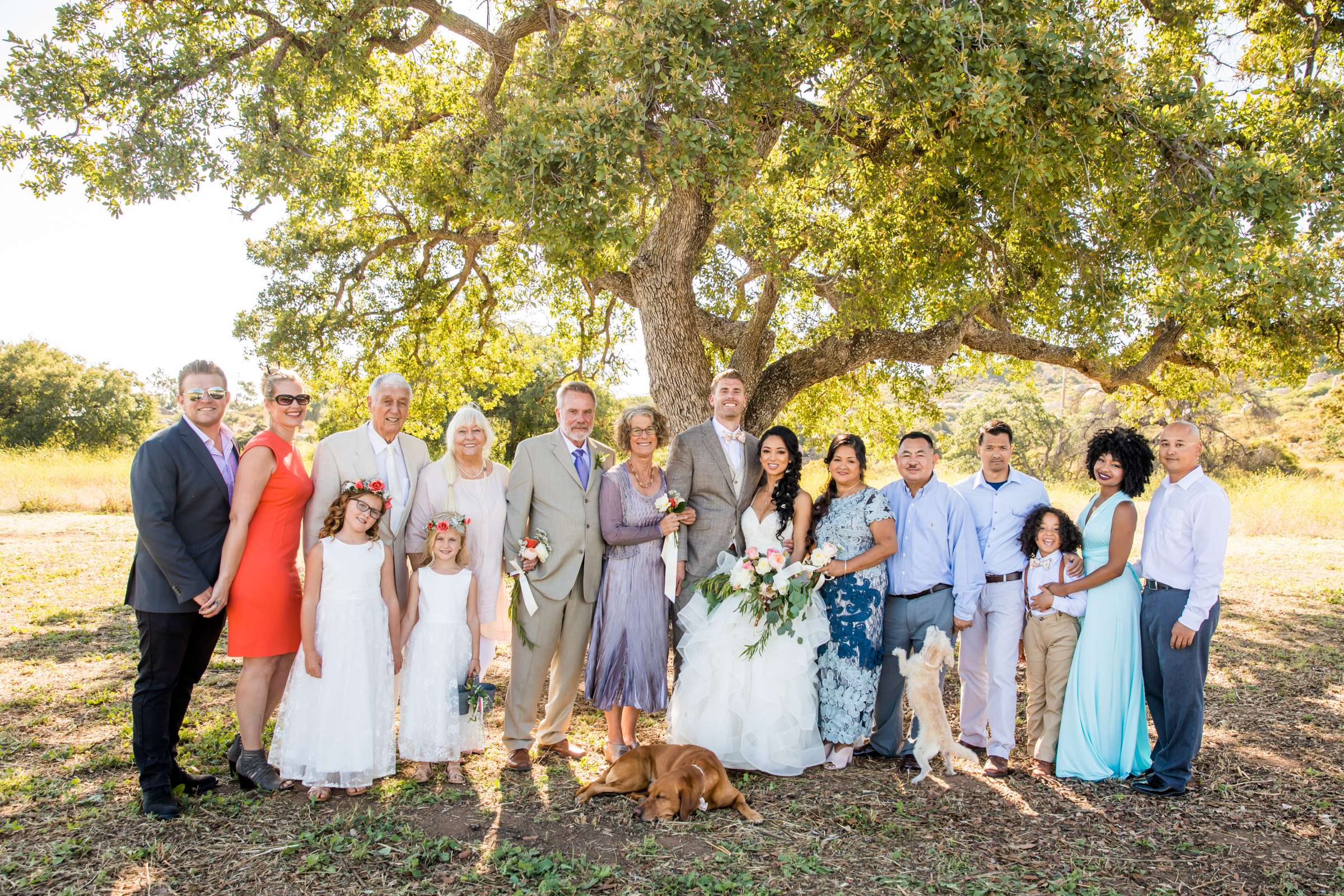The Bradford Ranch Wedding, Juliet and Ryan Wedding Photo #91 by True Photography