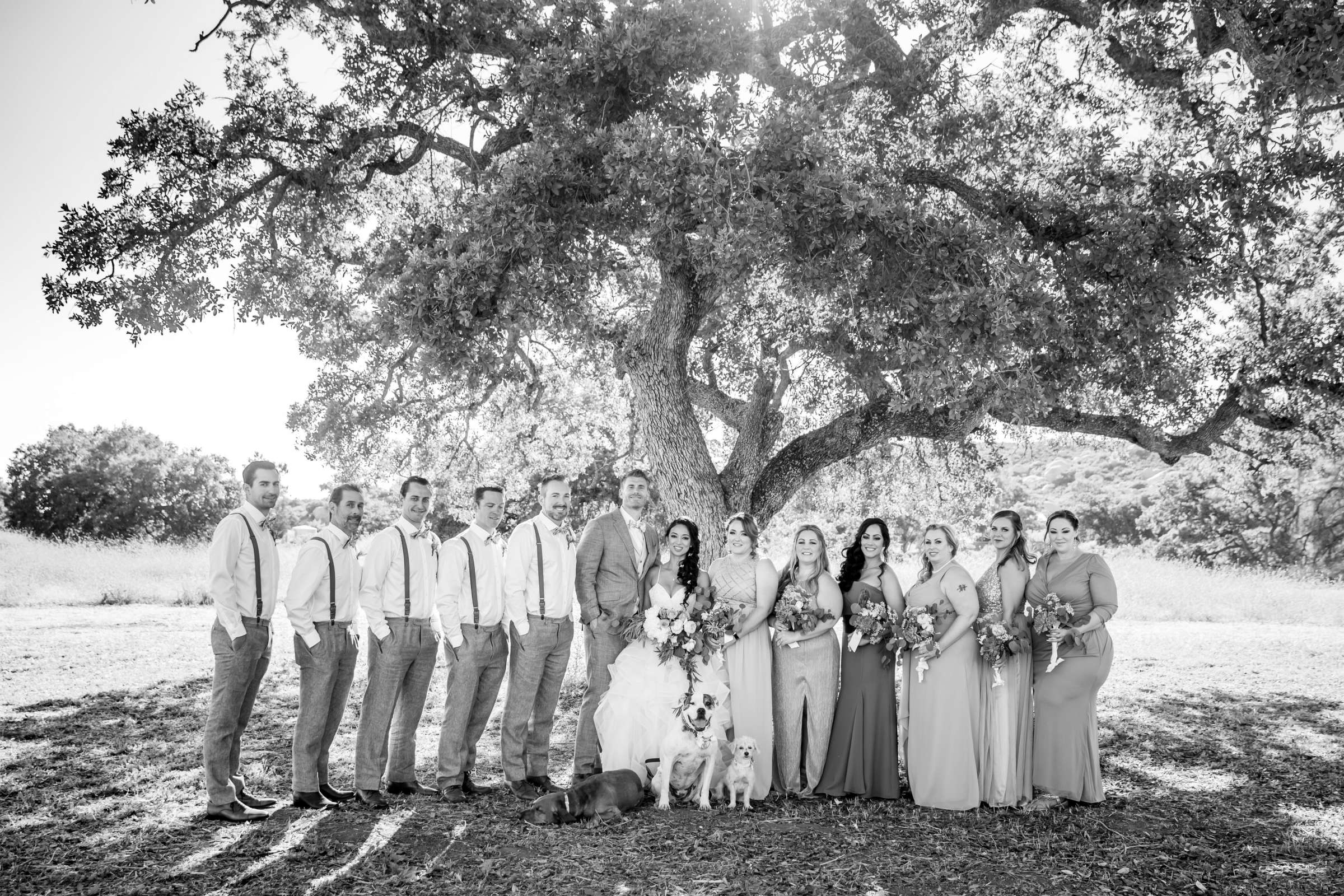 The Bradford Ranch Wedding, Juliet and Ryan Wedding Photo #98 by True Photography