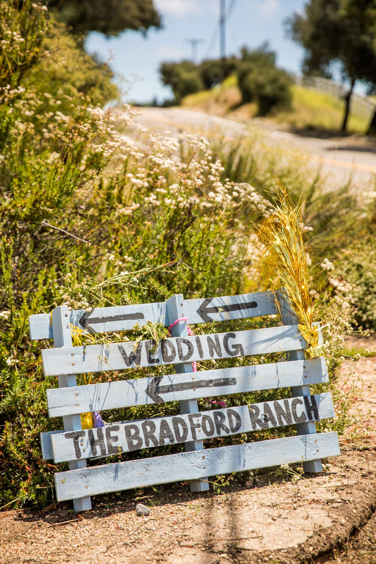 The Bradford Ranch Wedding, Juliet and Ryan Wedding Photo #143 by True Photography