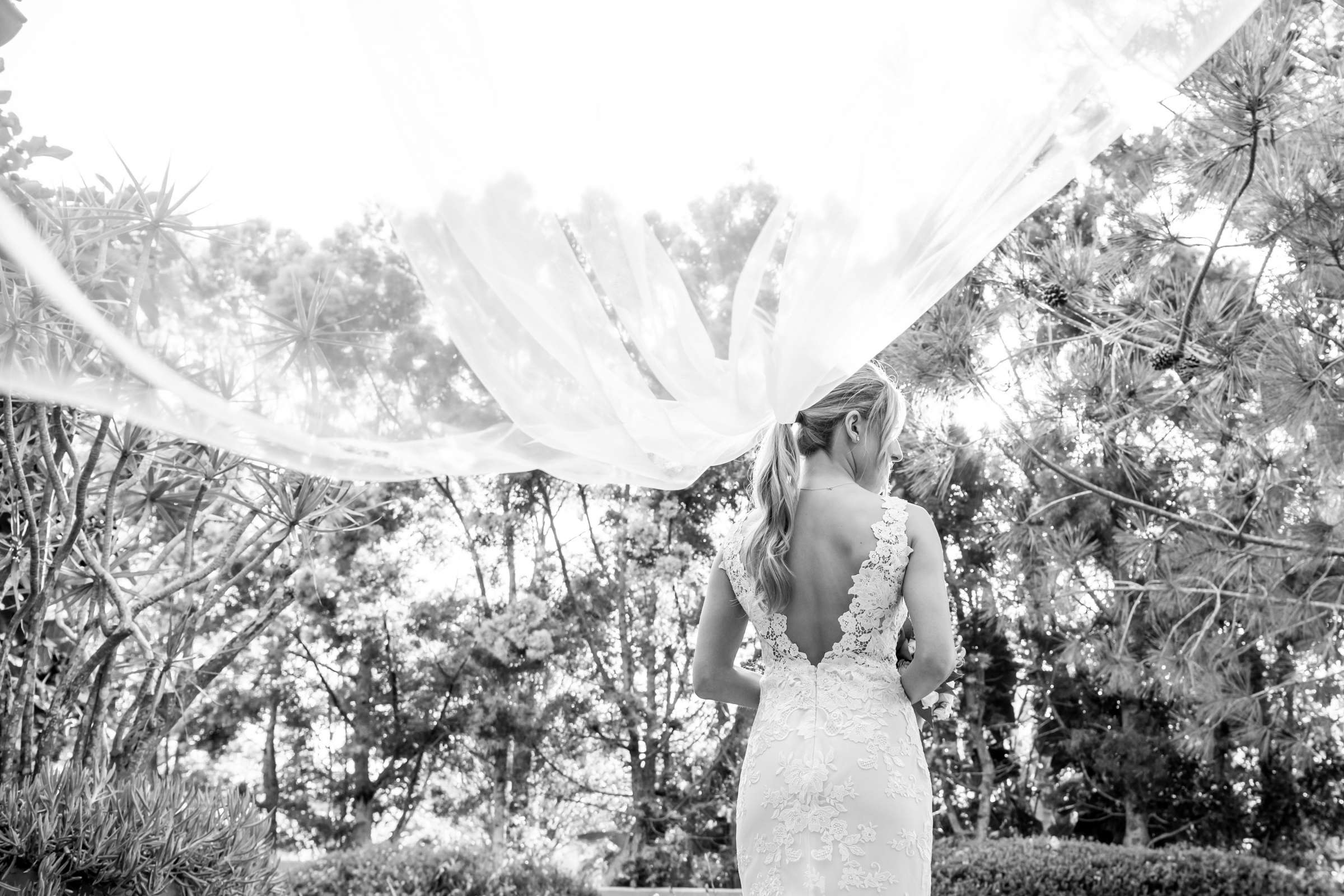 Estancia Wedding, Tiffany and Taylor Wedding Photo #87 by True Photography