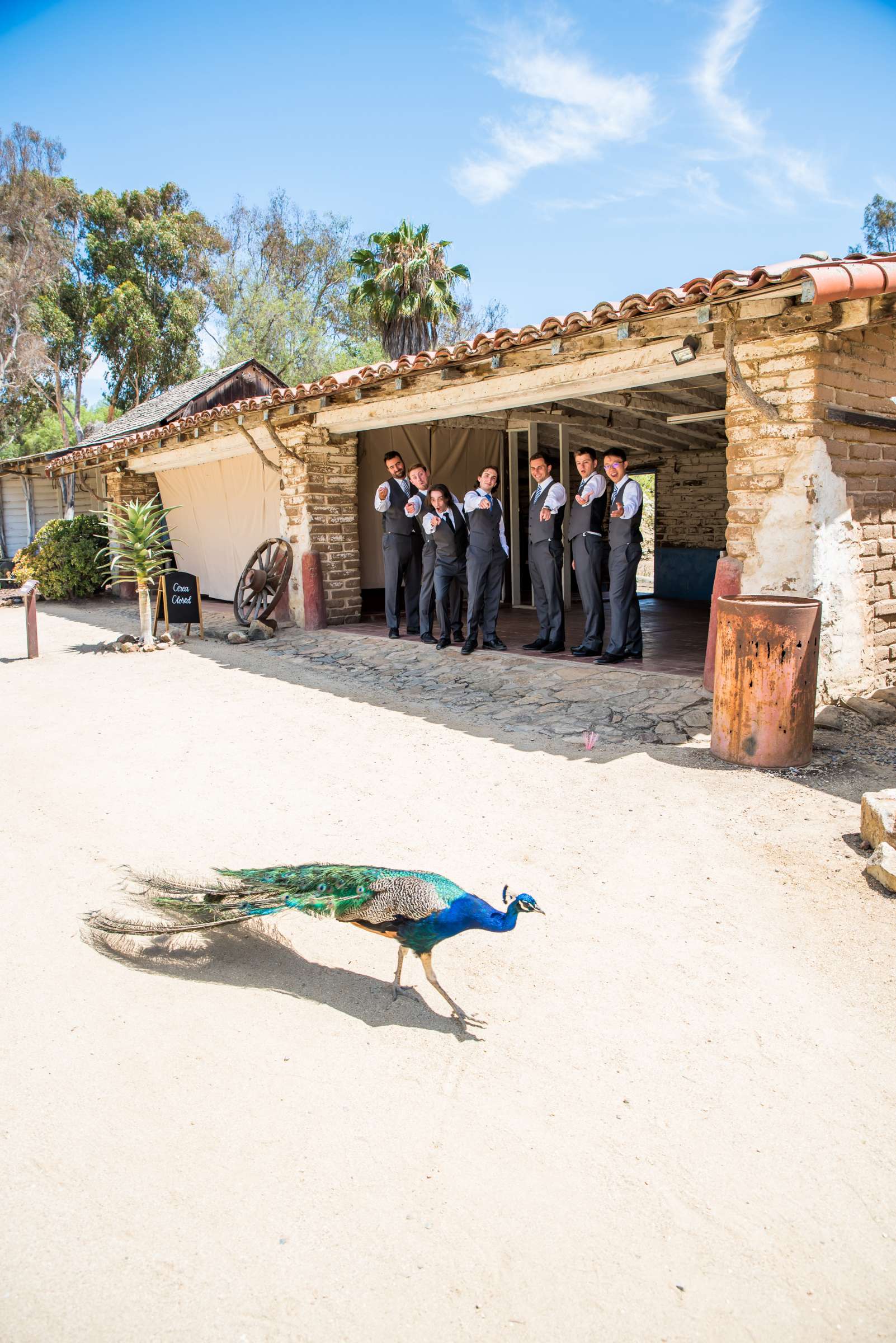 Leo Carrillo Ranch Wedding, Breanna and Daniel Wedding Photo #40 by True Photography