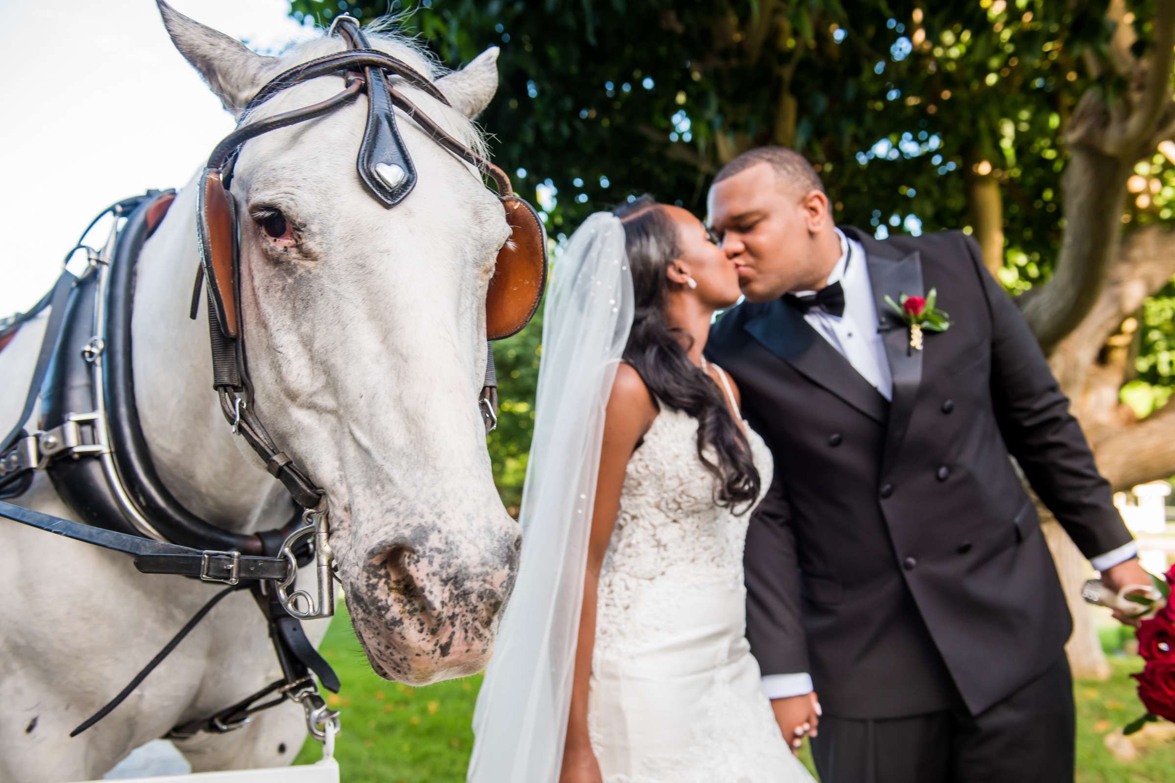 Grand Tradition Estate Wedding, Desirae and Sheldon Wedding Photo #20 by True Photography