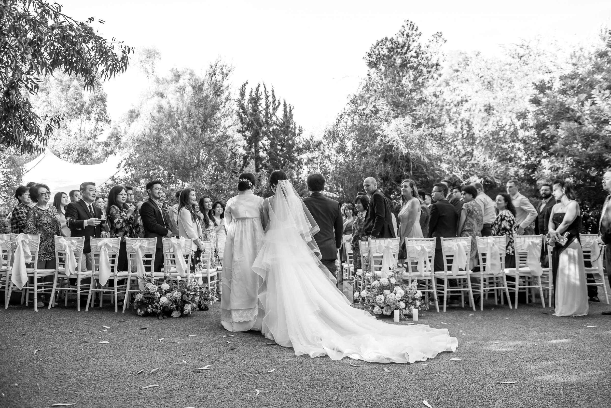 Wedding, Sarah and Shawn Wedding Photo #84 by True Photography