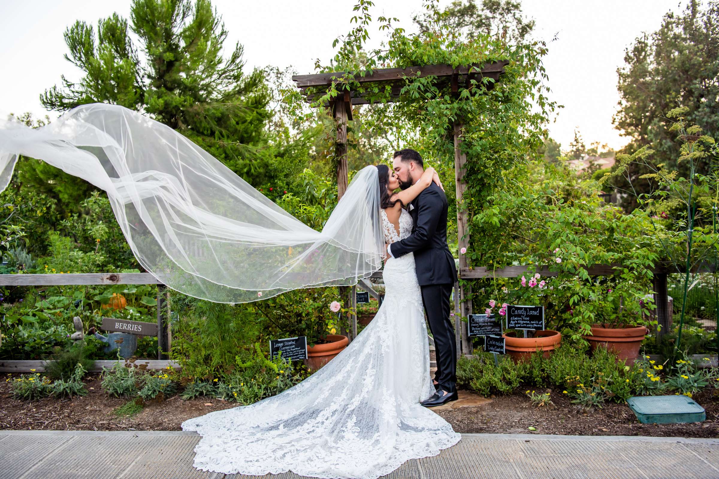 Rancho Bernardo Inn Wedding, Raana and Jason Wedding Photo #2 by True Photography