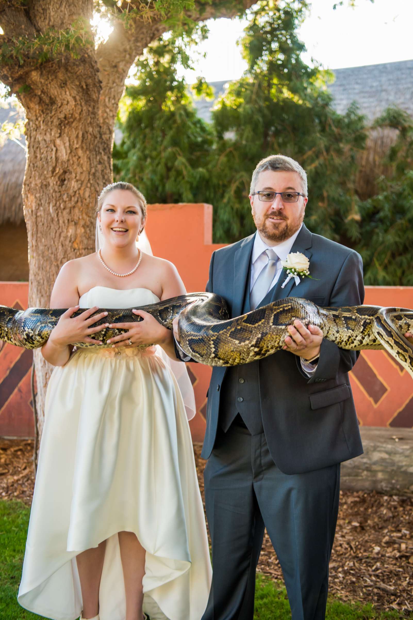 Safari Park Wedding, Rebecca and Corey Wedding Photo #4 by True Photography