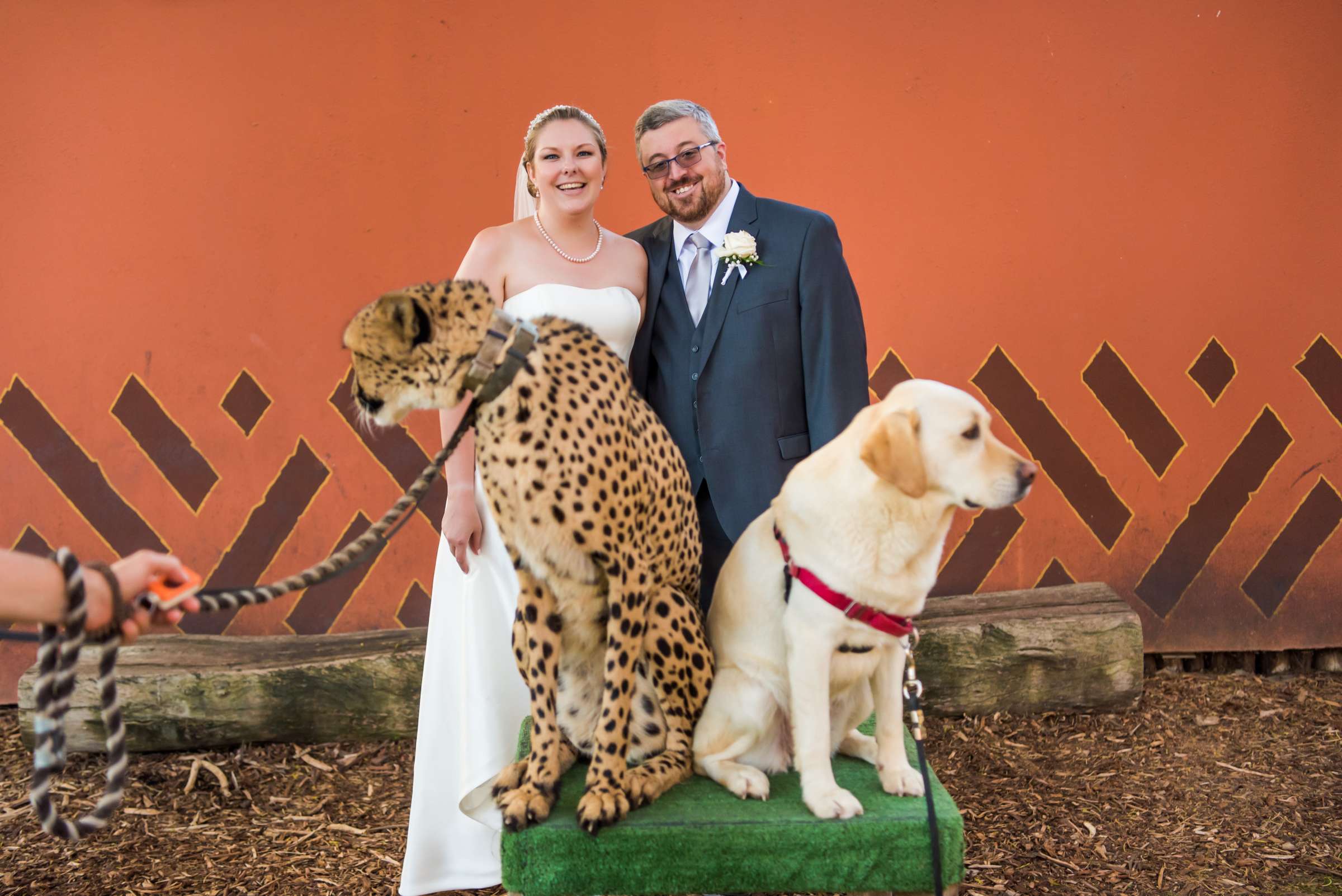 Safari Park Wedding, Rebecca and Corey Wedding Photo #15 by True Photography