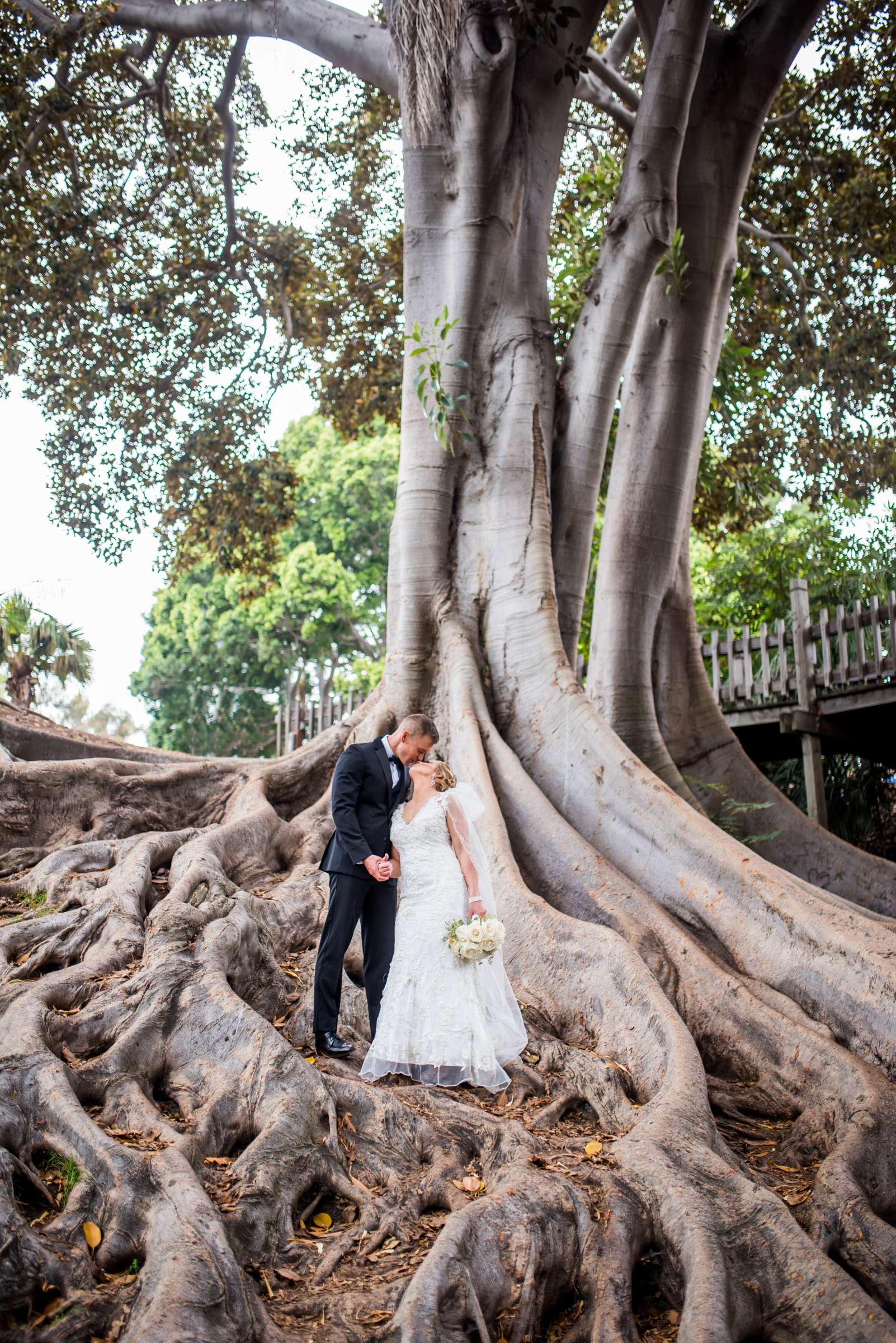 San Diego Courthouse Wedding, Stephanie and Tyler Wedding Photo #7 by True Photography