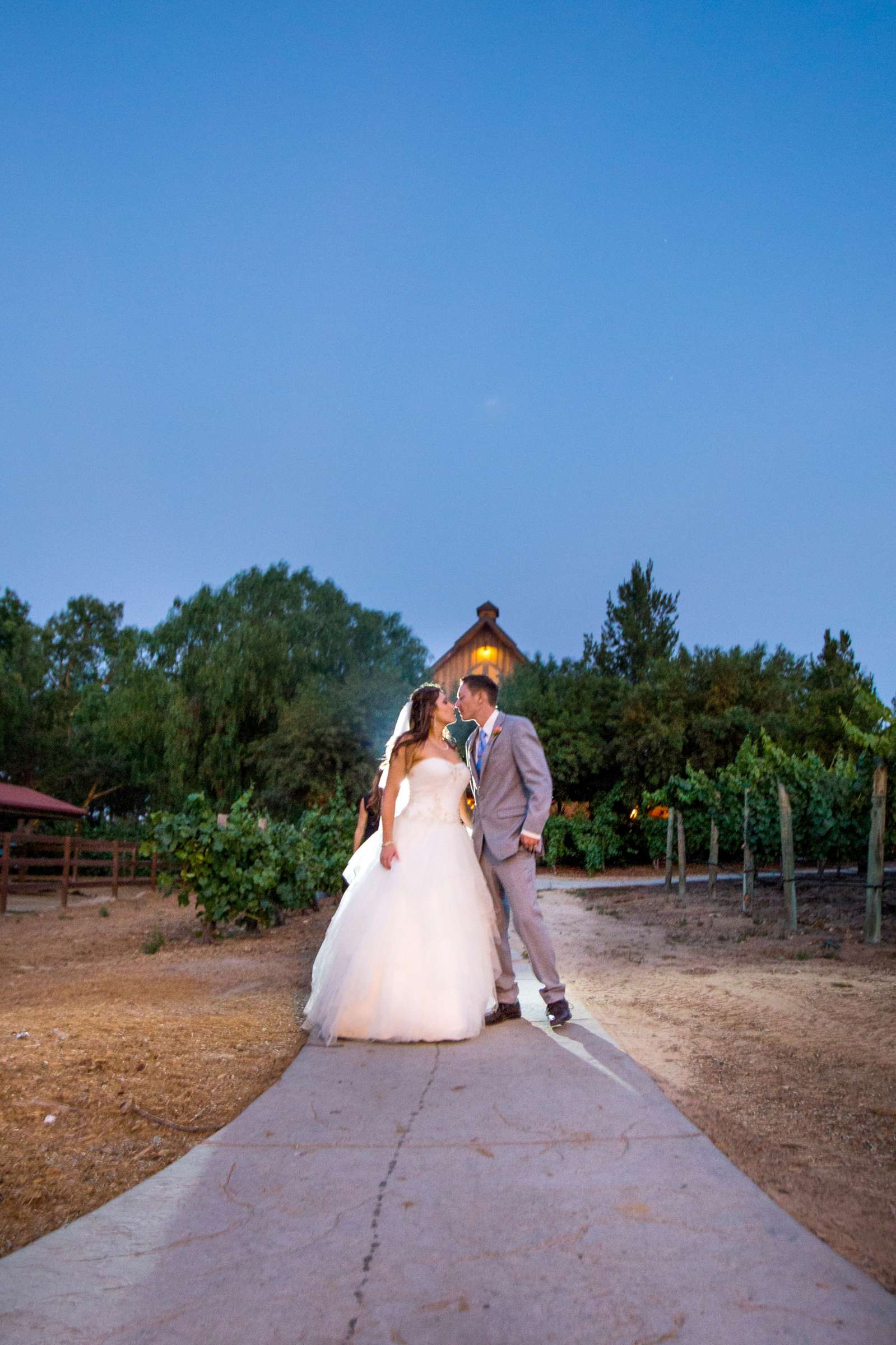 Wedding, Special Pics Wedding Photo #569836 by True Photography