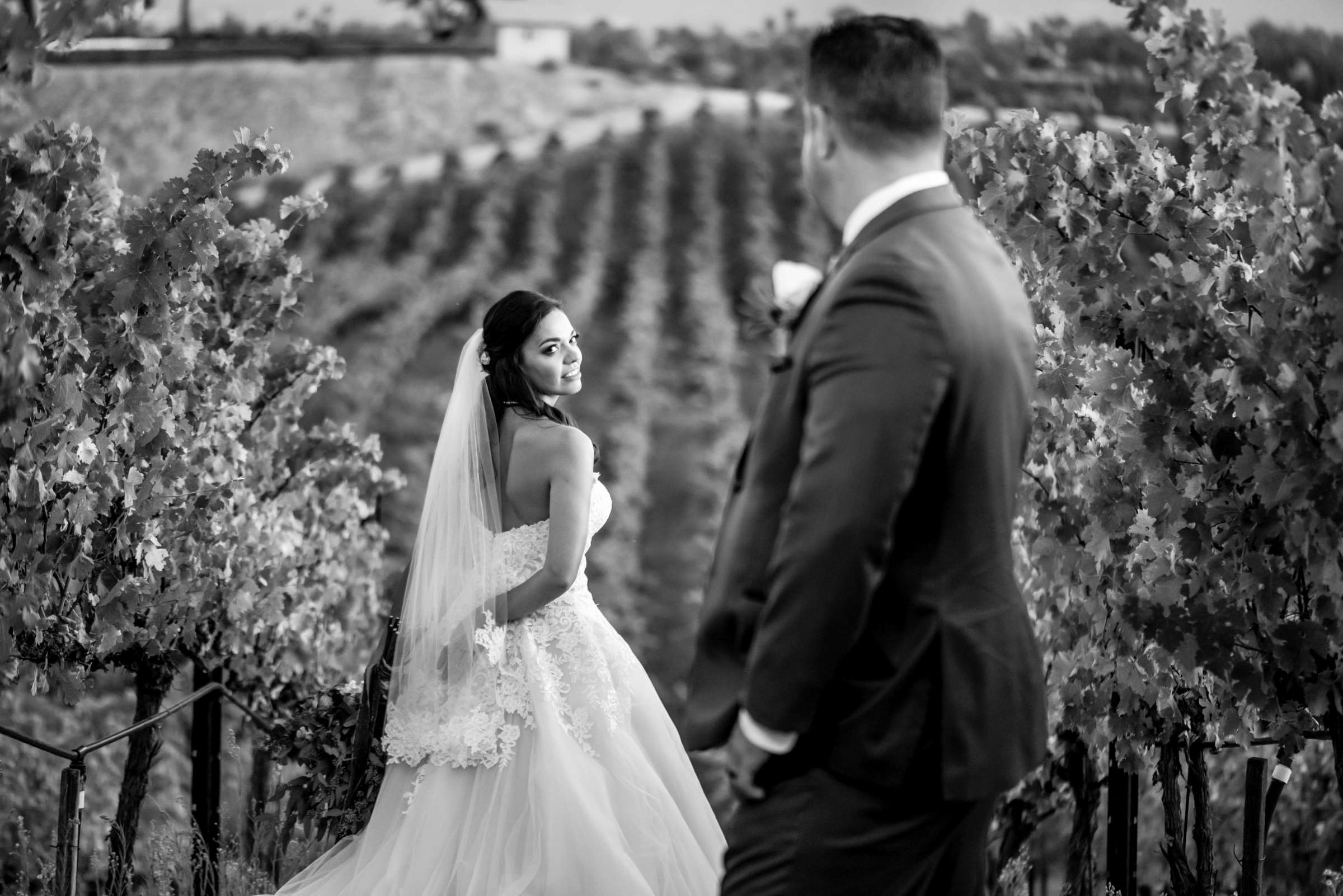 Callaway Vineyards & Winery Wedding, Erica and Robert Wedding Photo #4 by True Photography