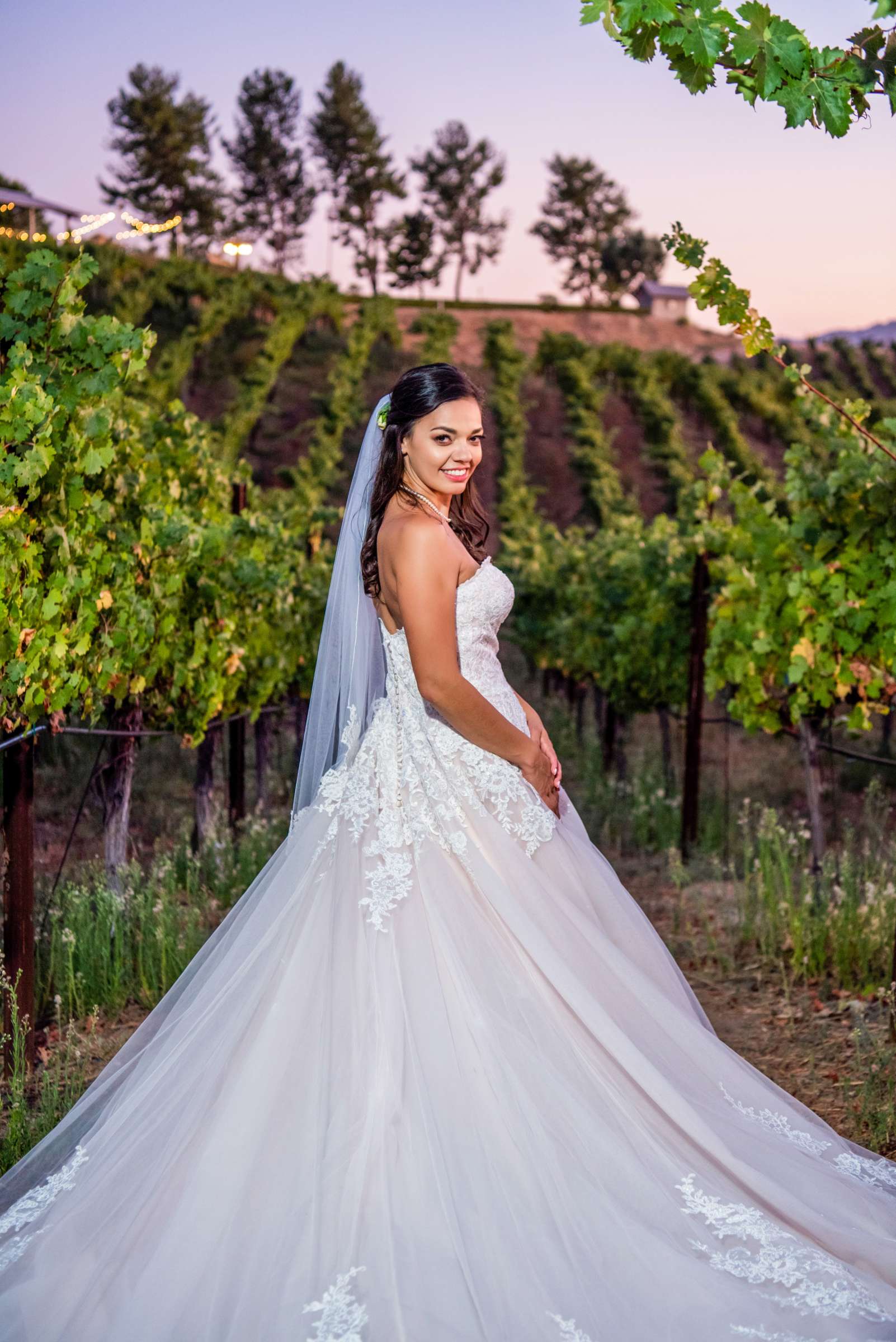 Callaway Vineyards & Winery Wedding, Erica and Robert Wedding Photo #5 by True Photography