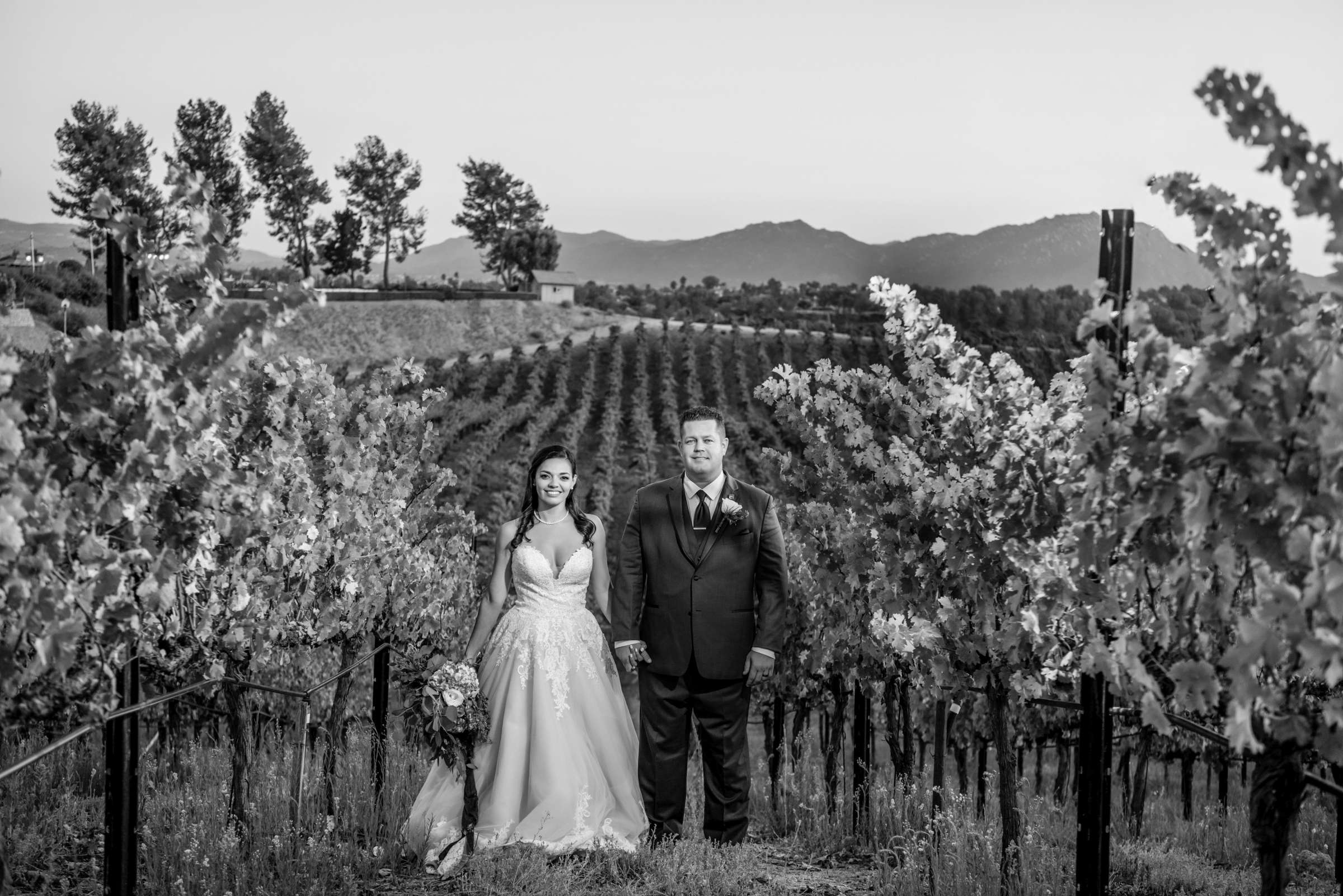 Callaway Vineyards & Winery Wedding, Erica and Robert Wedding Photo #98 by True Photography