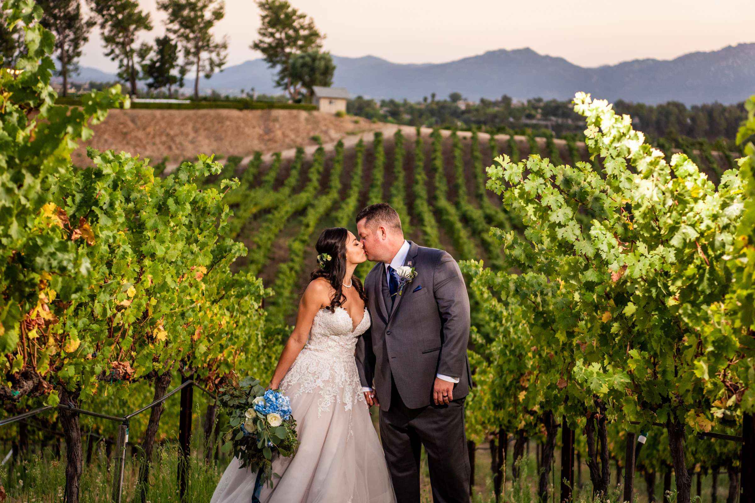 Callaway Vineyards & Winery Wedding, Erica and Robert Wedding Photo #99 by True Photography
