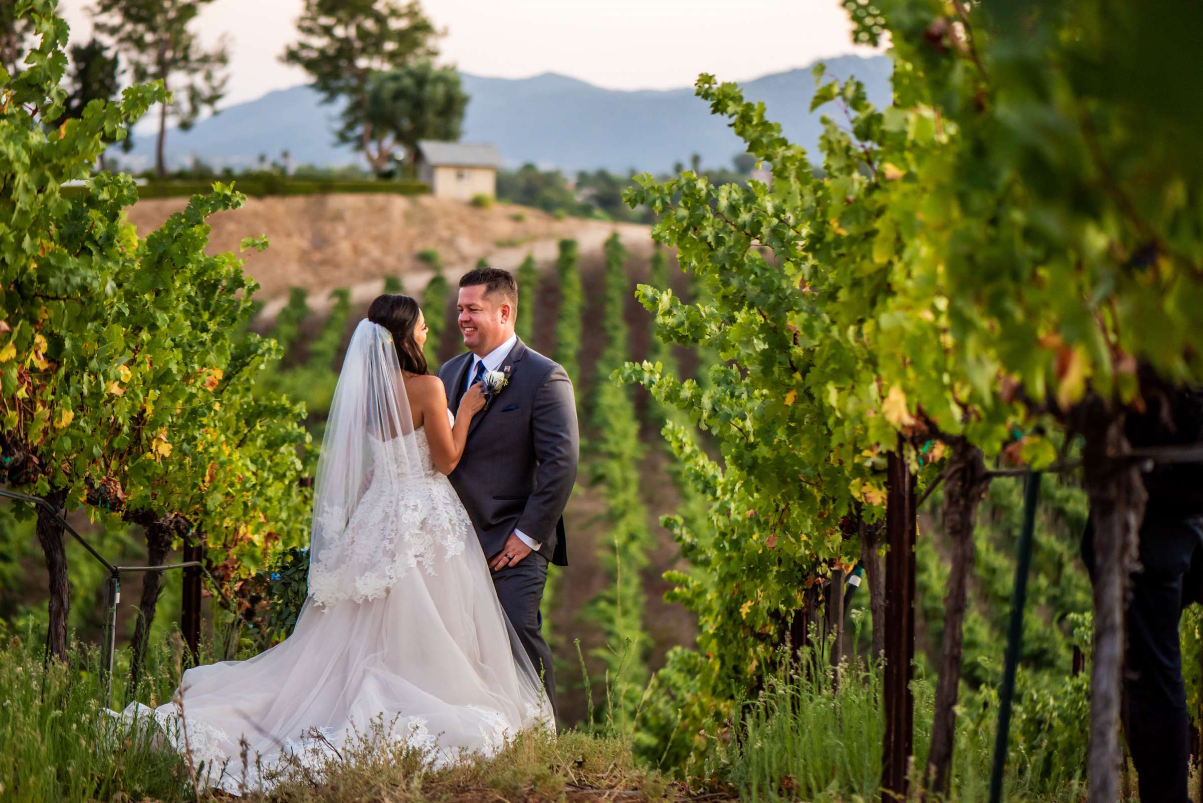Callaway Vineyards & Winery Wedding, Erica and Robert Wedding Photo #100 by True Photography