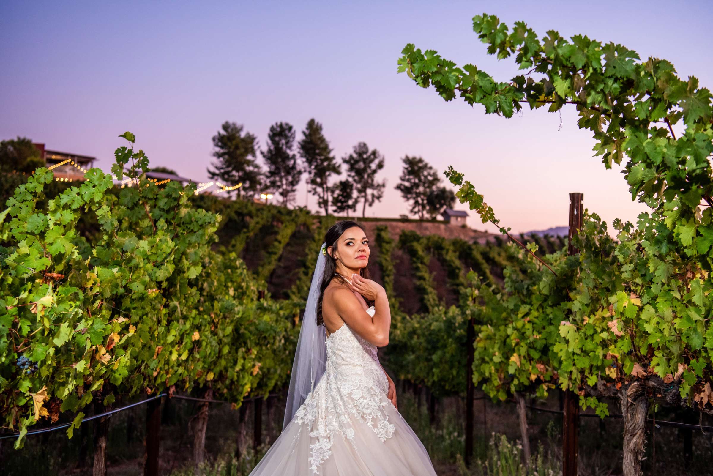 Callaway Vineyards & Winery Wedding, Erica and Robert Wedding Photo #103 by True Photography