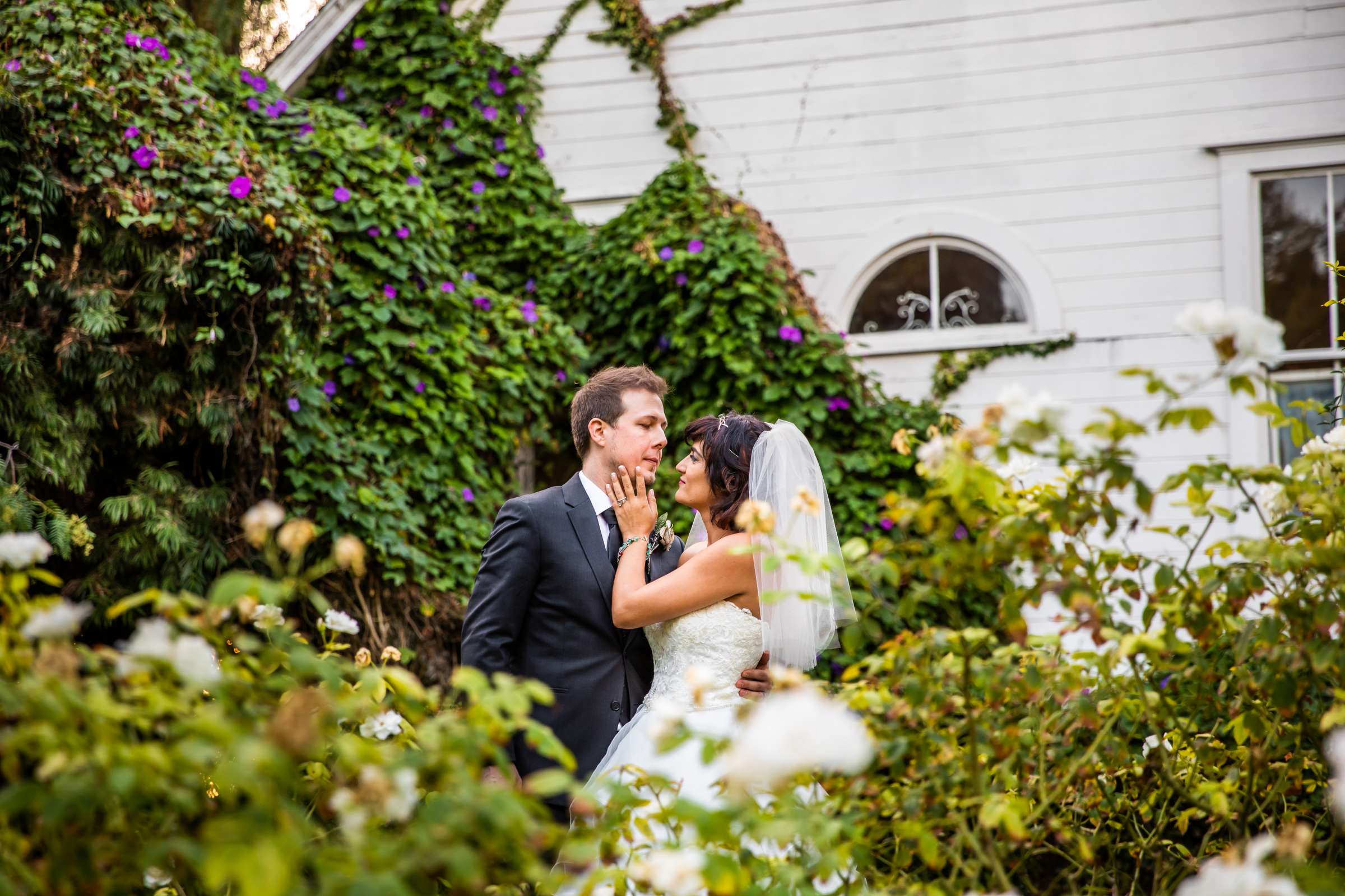 Green Gables Wedding Estate Wedding, Ashley and Chris Wedding Photo #25 by True Photography