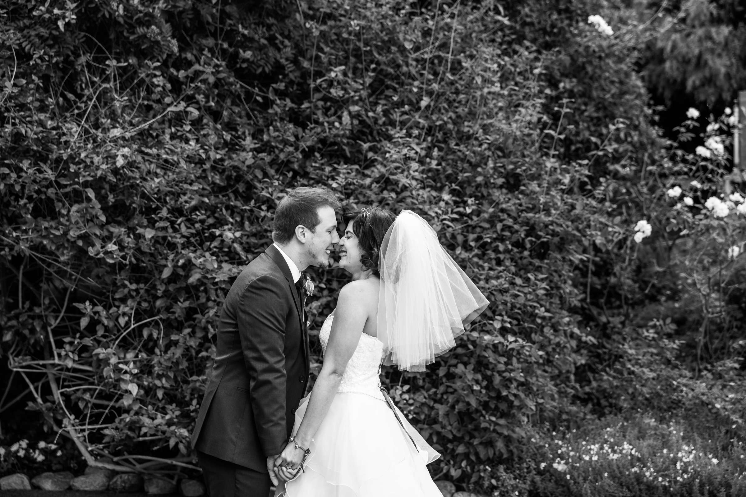 Green Gables Wedding Estate Wedding, Ashley and Chris Wedding Photo #45 by True Photography