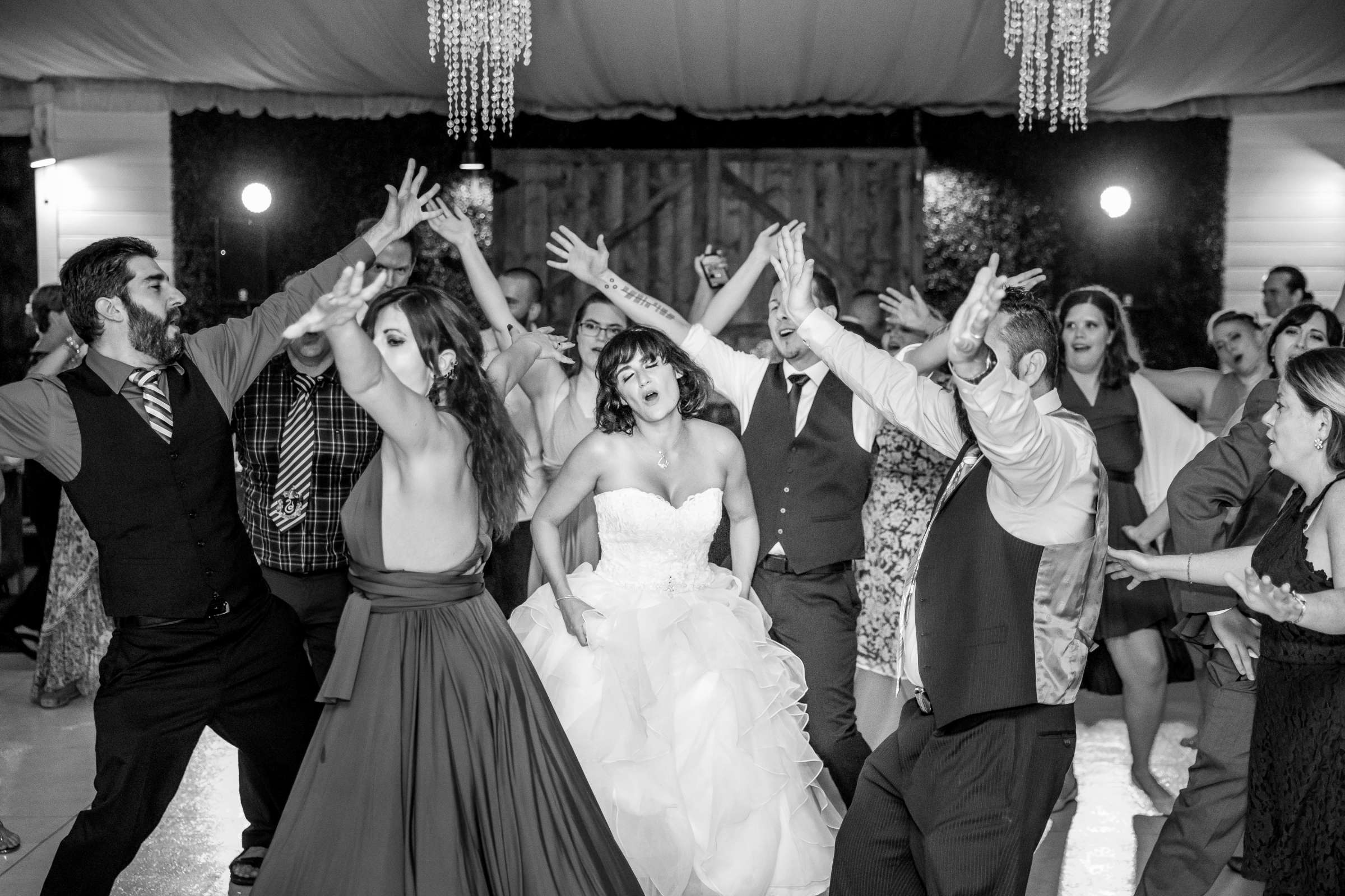 Green Gables Wedding Estate Wedding, Ashley and Chris Wedding Photo #132 by True Photography