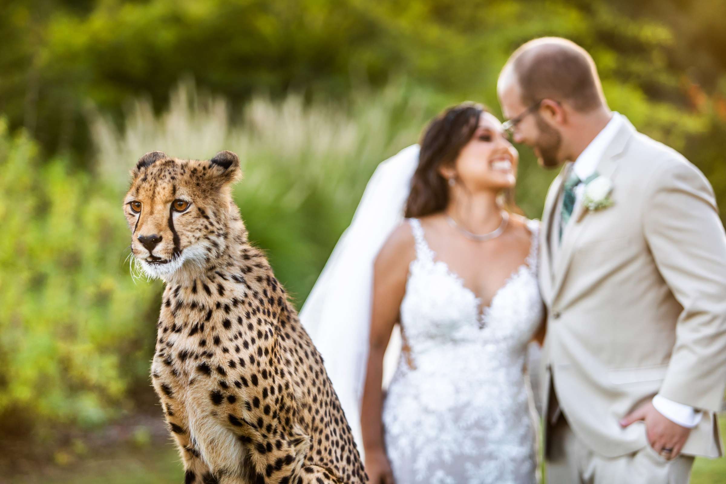 Safari Park Wedding, Nika and Zach Wedding Photo #4 by True Photography