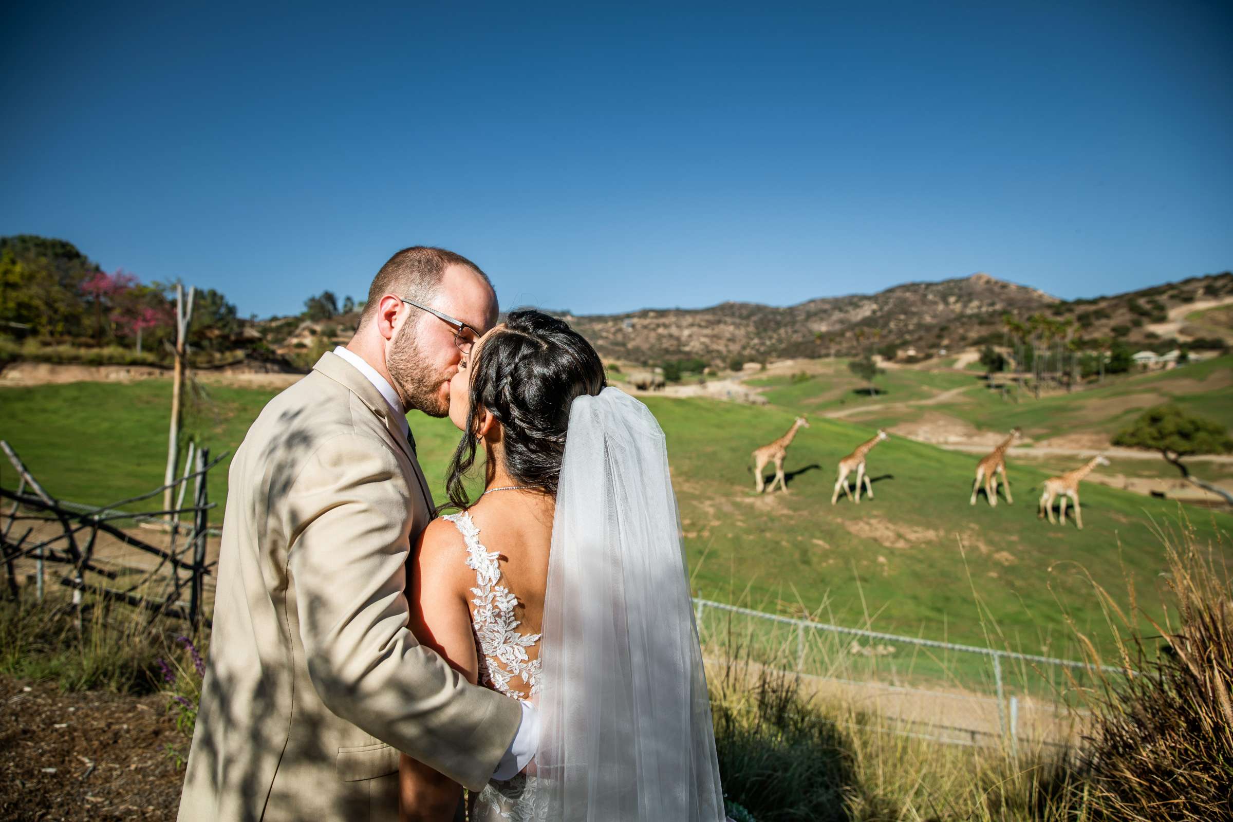 Safari Park Wedding, Nika and Zach Wedding Photo #7 by True Photography