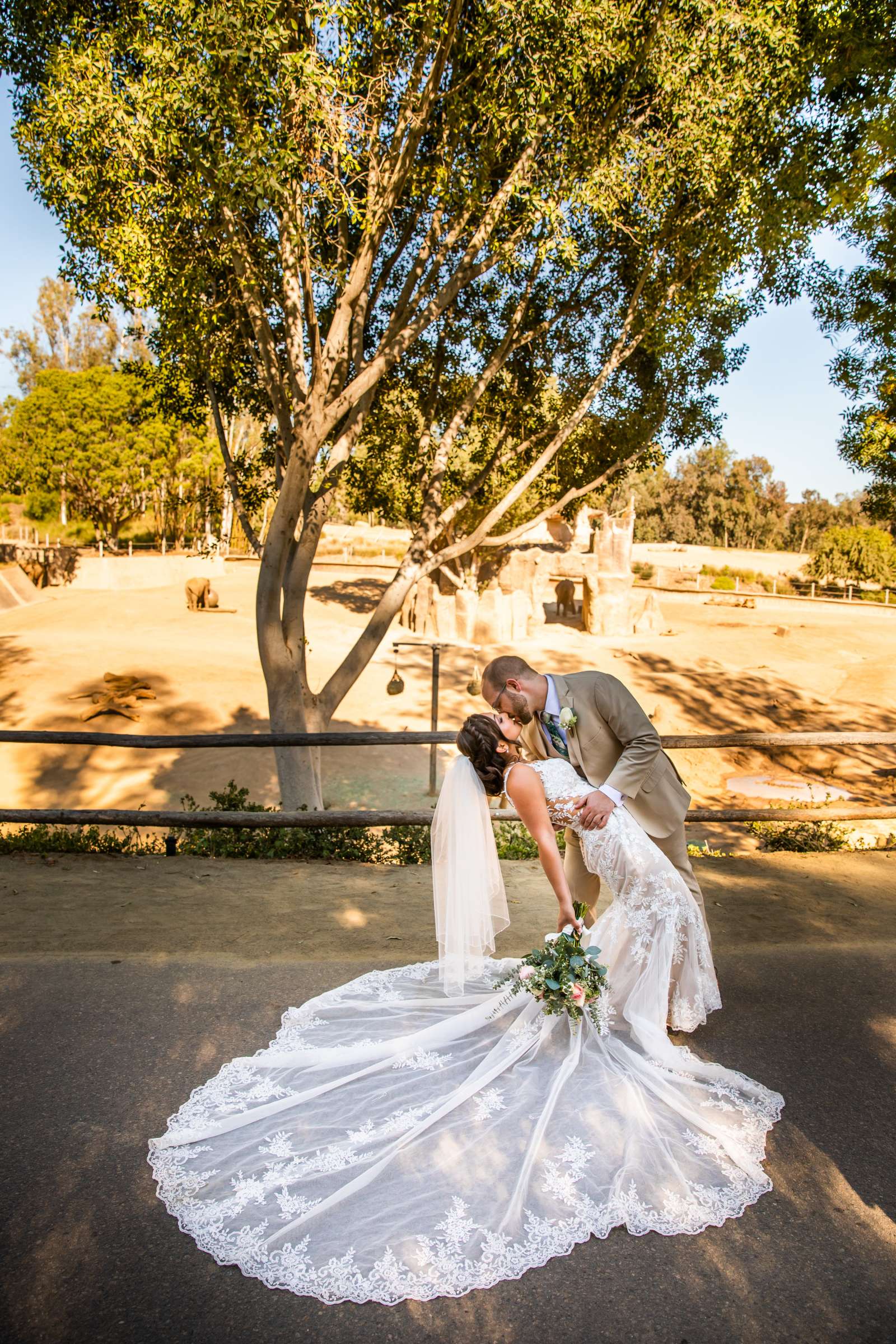 Safari Park Wedding, Nika and Zach Wedding Photo #52 by True Photography