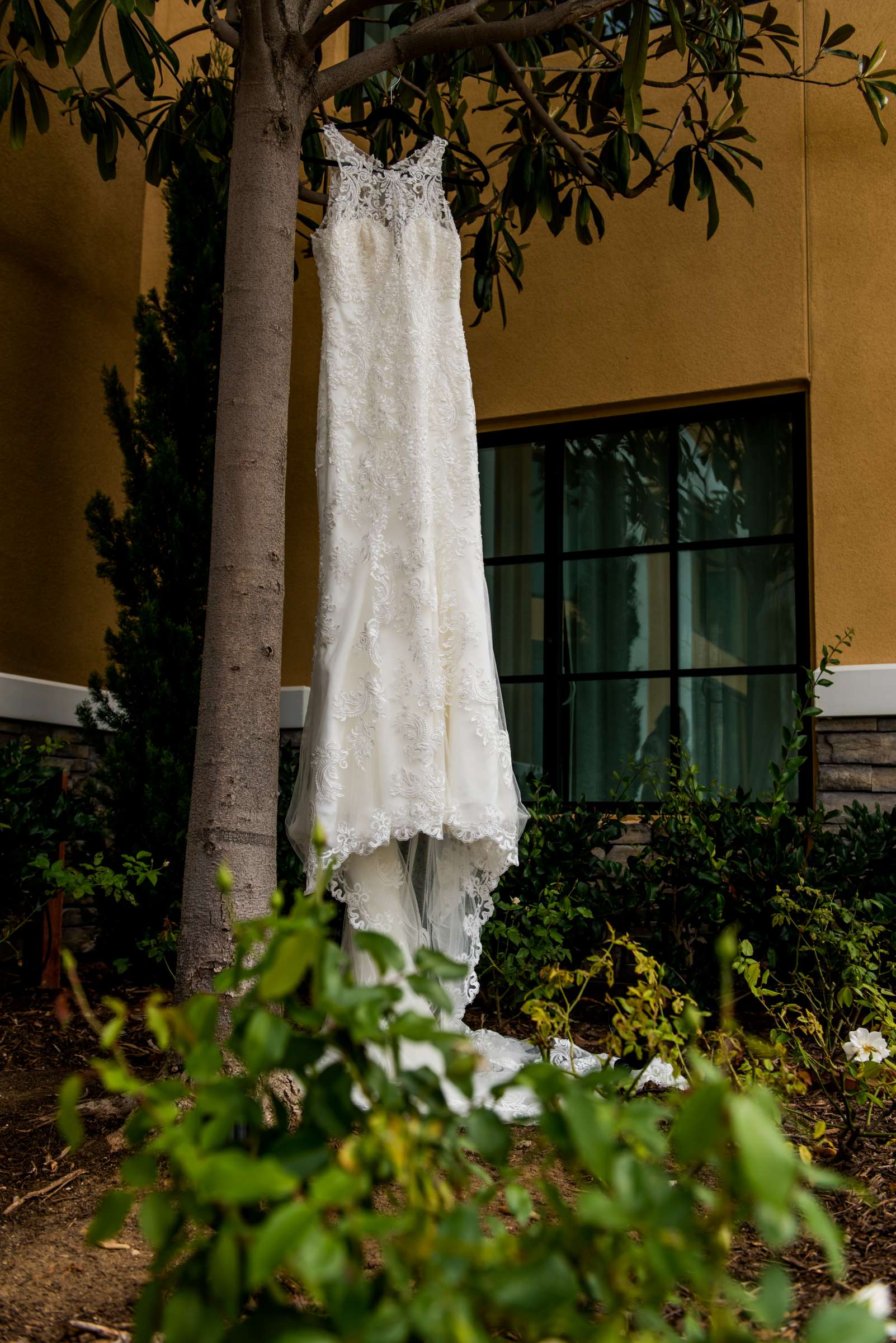 The Westin Carlsbad Resort and Spa Wedding, Judy and Rory Wedding Photo #32 by True Photography
