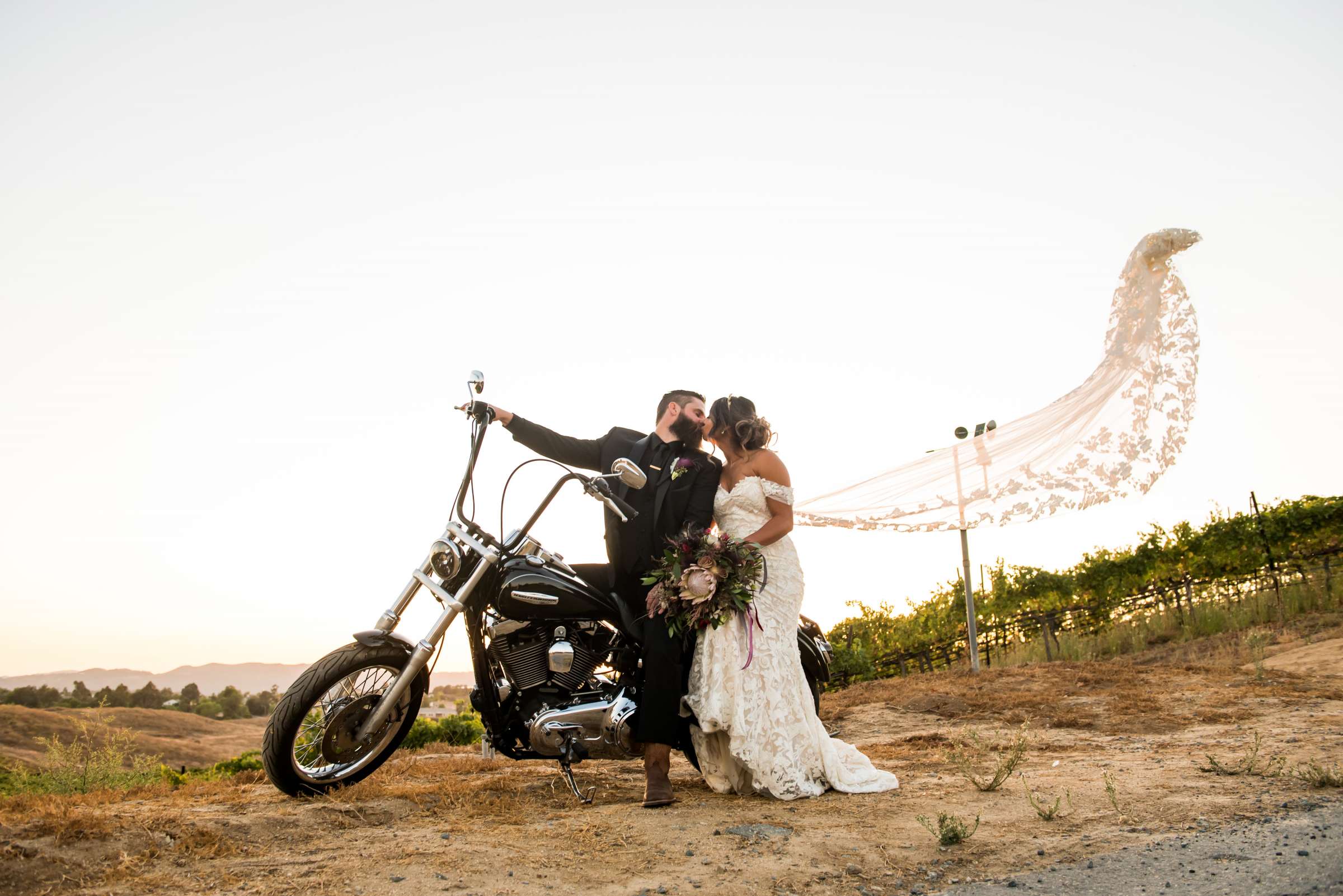 Callaway Vineyards & Winery Wedding, Kari and Andrew Wedding Photo #6 by True Photography