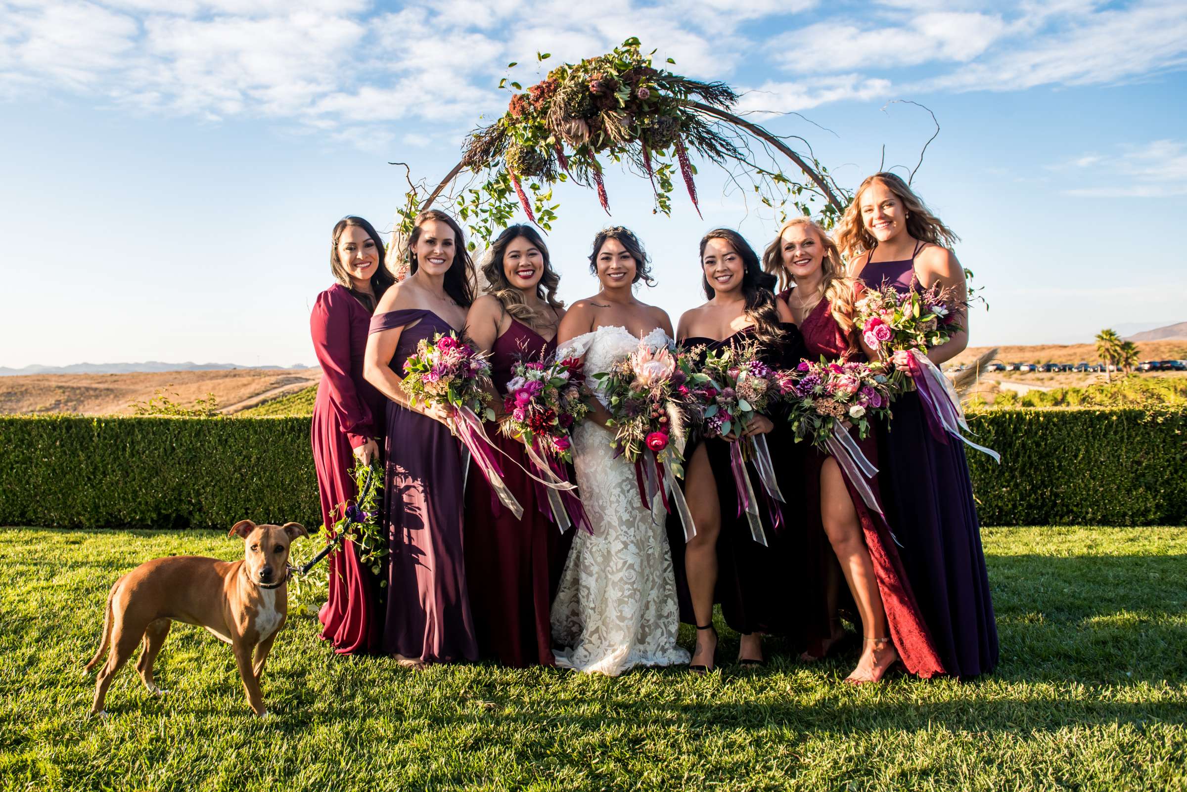Callaway Vineyards & Winery Wedding, Kari and Andrew Wedding Photo #40 by True Photography