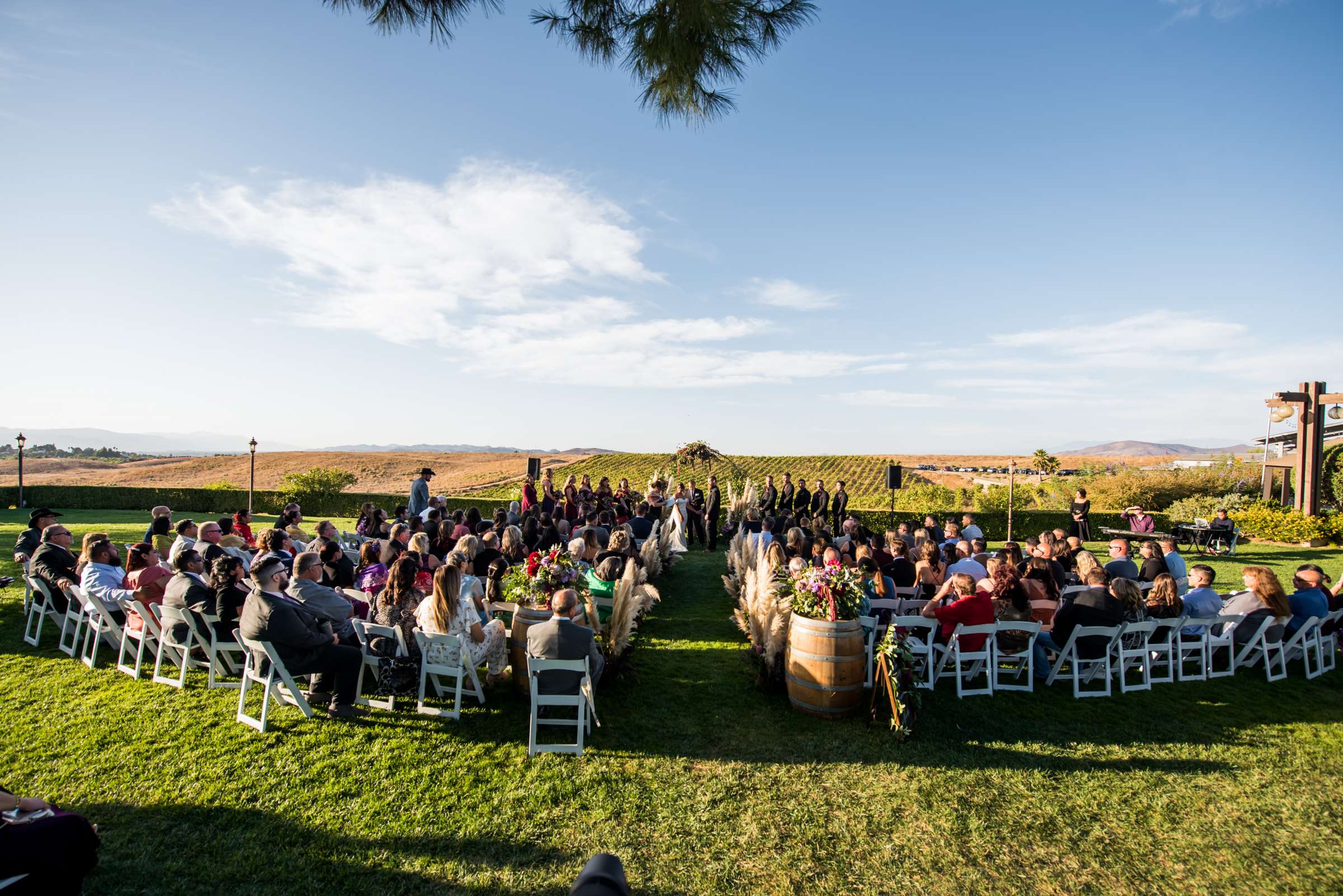 Callaway Vineyards & Winery Wedding, Kari and Andrew Wedding Photo #110 by True Photography