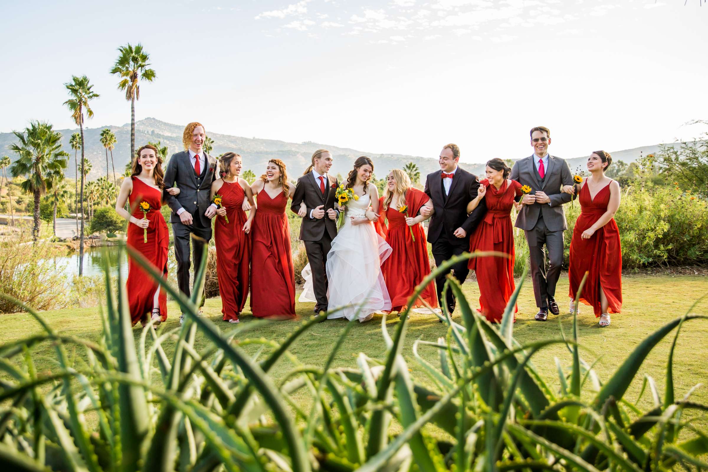 Safari Park Wedding coordinated by Always Flawless Productions, Lynx and Adam Wedding Photo #8 by True Photography