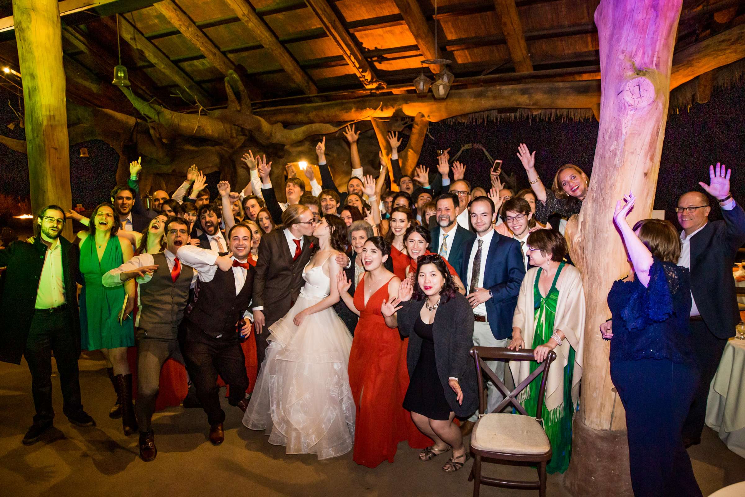 Safari Park Wedding coordinated by Always Flawless Productions, Lynx and Adam Wedding Photo #17 by True Photography