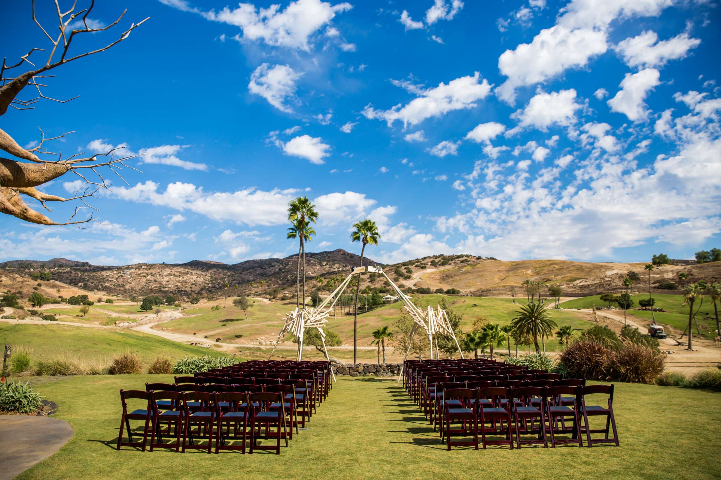 Safari Park Wedding coordinated by Always Flawless Productions, Lynx and Adam Wedding Photo #54 by True Photography