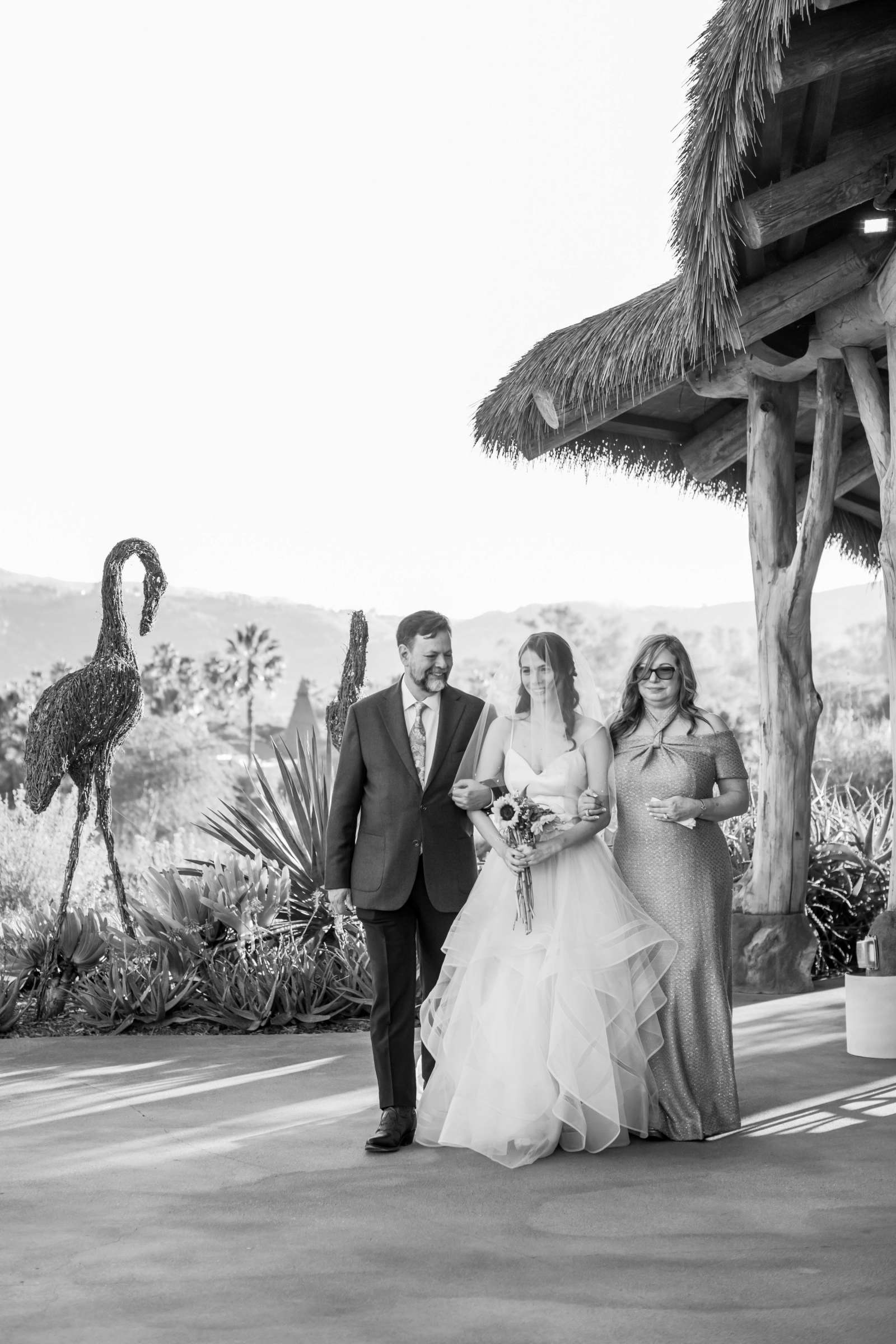 Safari Park Wedding coordinated by Always Flawless Productions, Lynx and Adam Wedding Photo #58 by True Photography