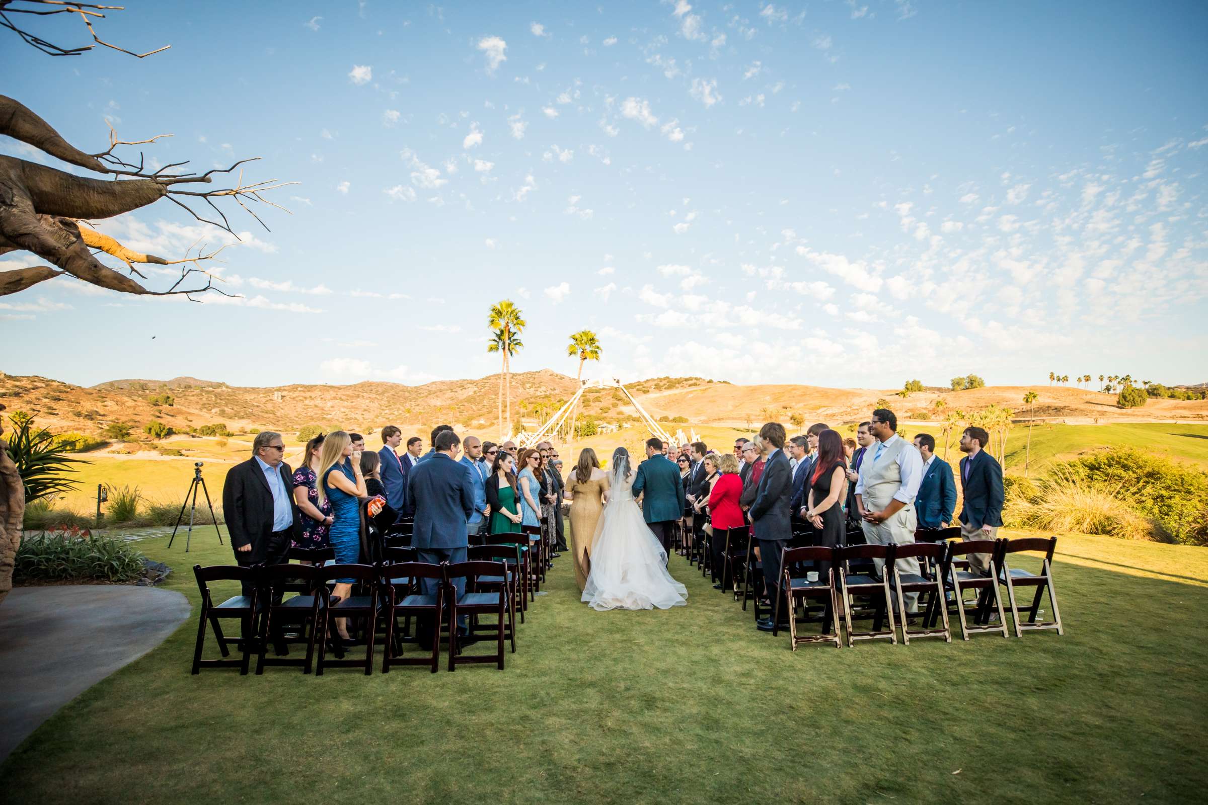 Safari Park Wedding coordinated by Always Flawless Productions, Lynx and Adam Wedding Photo #61 by True Photography