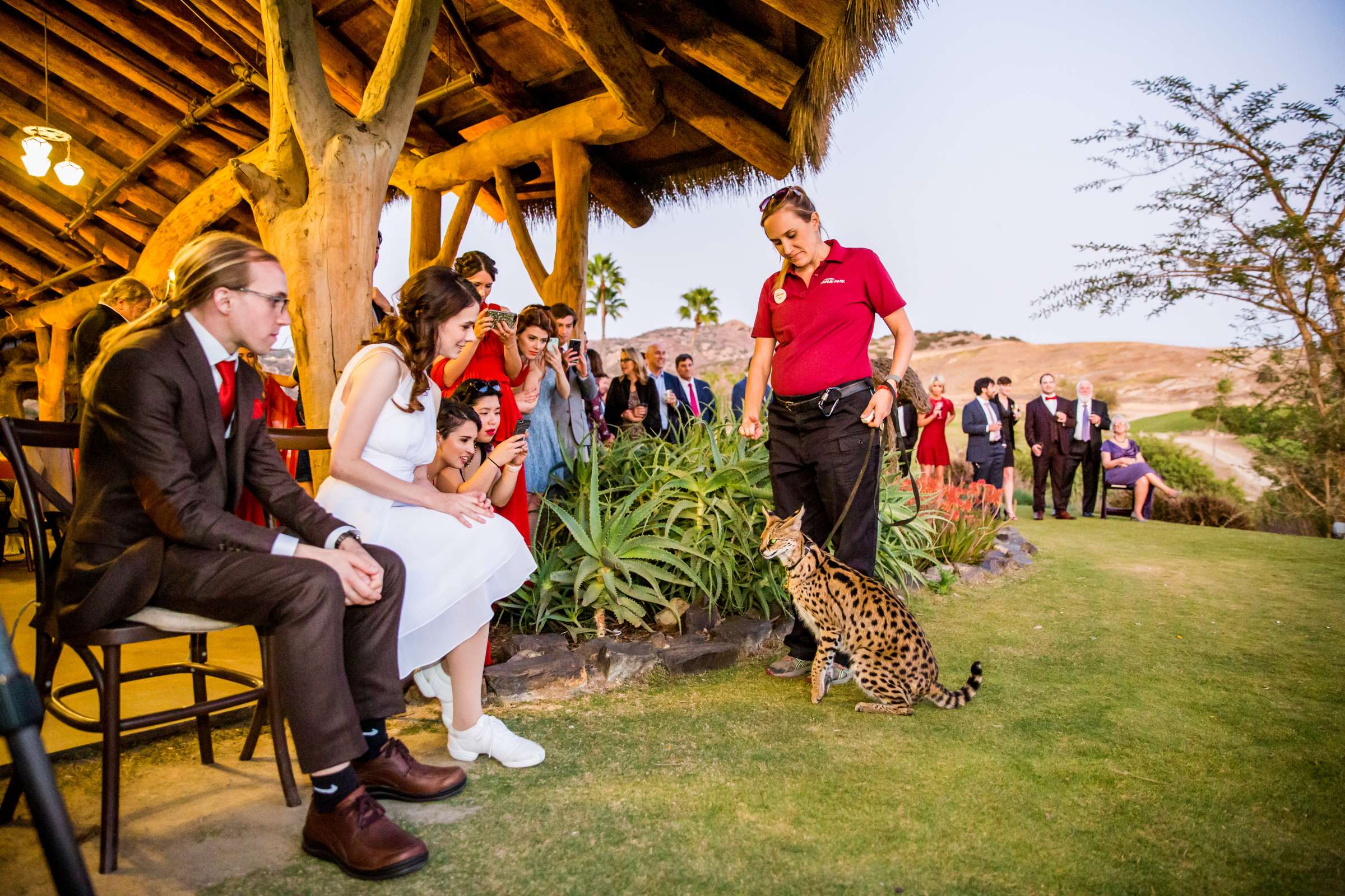 Safari Park Wedding coordinated by Always Flawless Productions, Lynx and Adam Wedding Photo #122 by True Photography