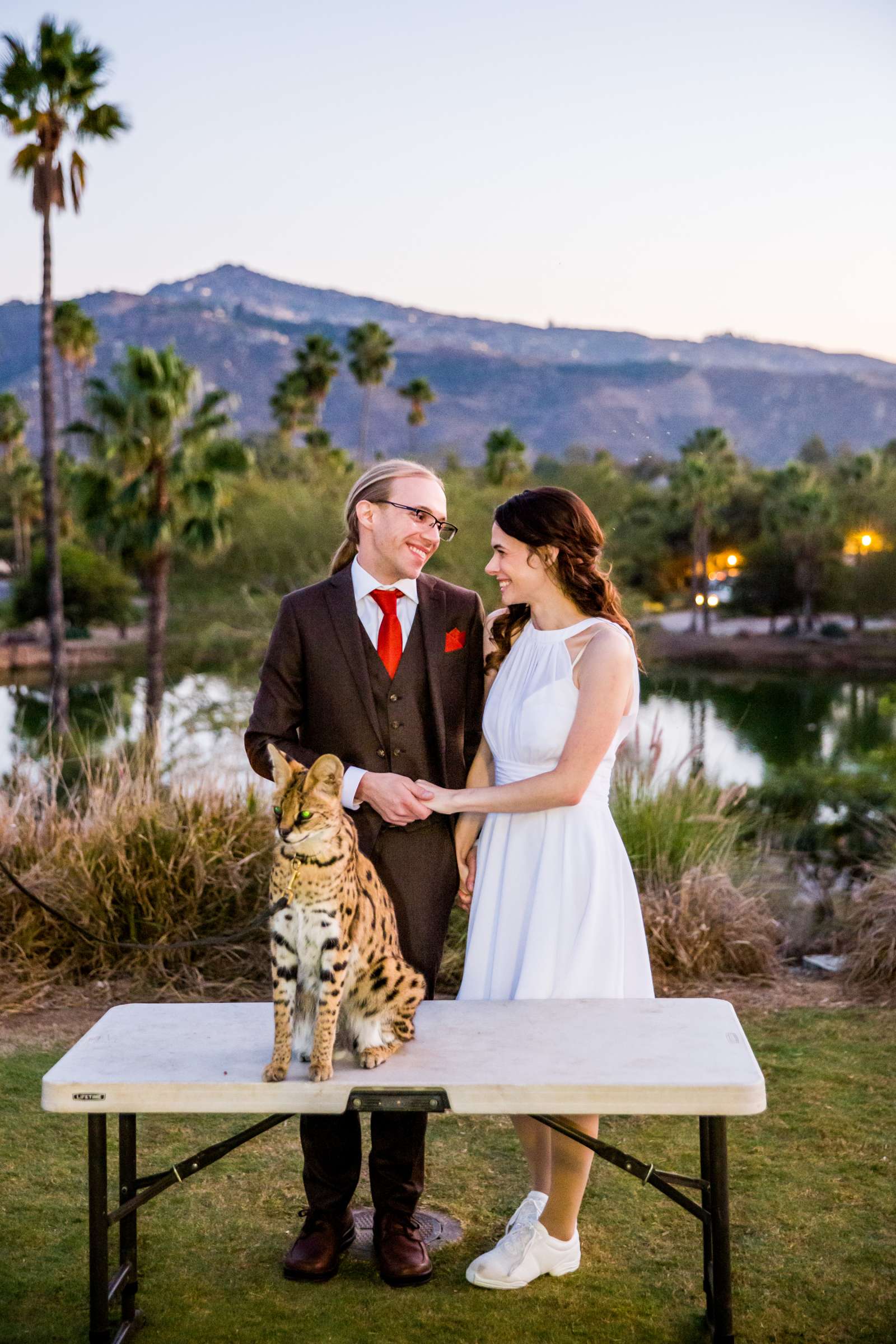 Safari Park Wedding coordinated by Always Flawless Productions, Lynx and Adam Wedding Photo #123 by True Photography