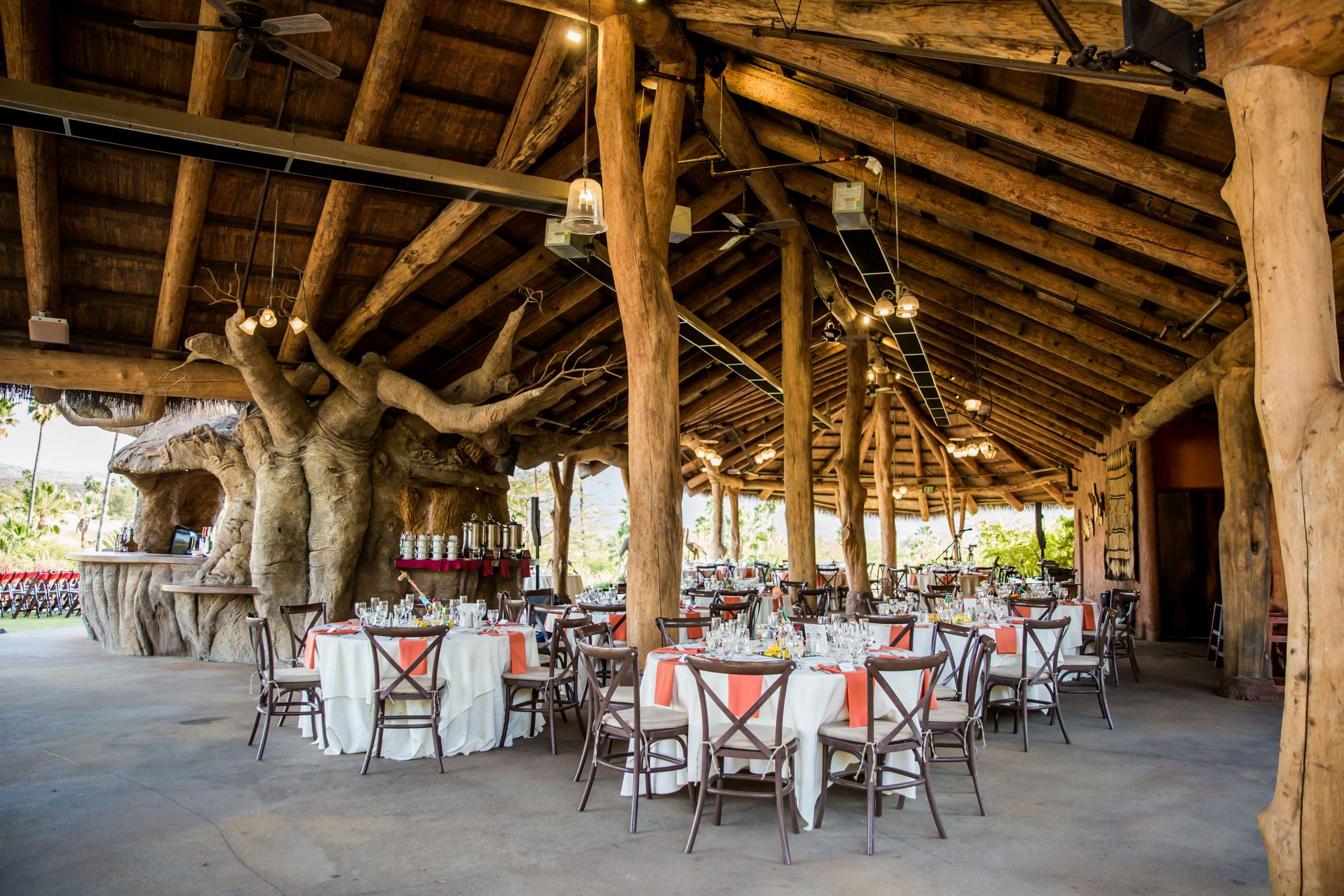 Safari Park Wedding coordinated by Always Flawless Productions, Lynx and Adam Wedding Photo #127 by True Photography
