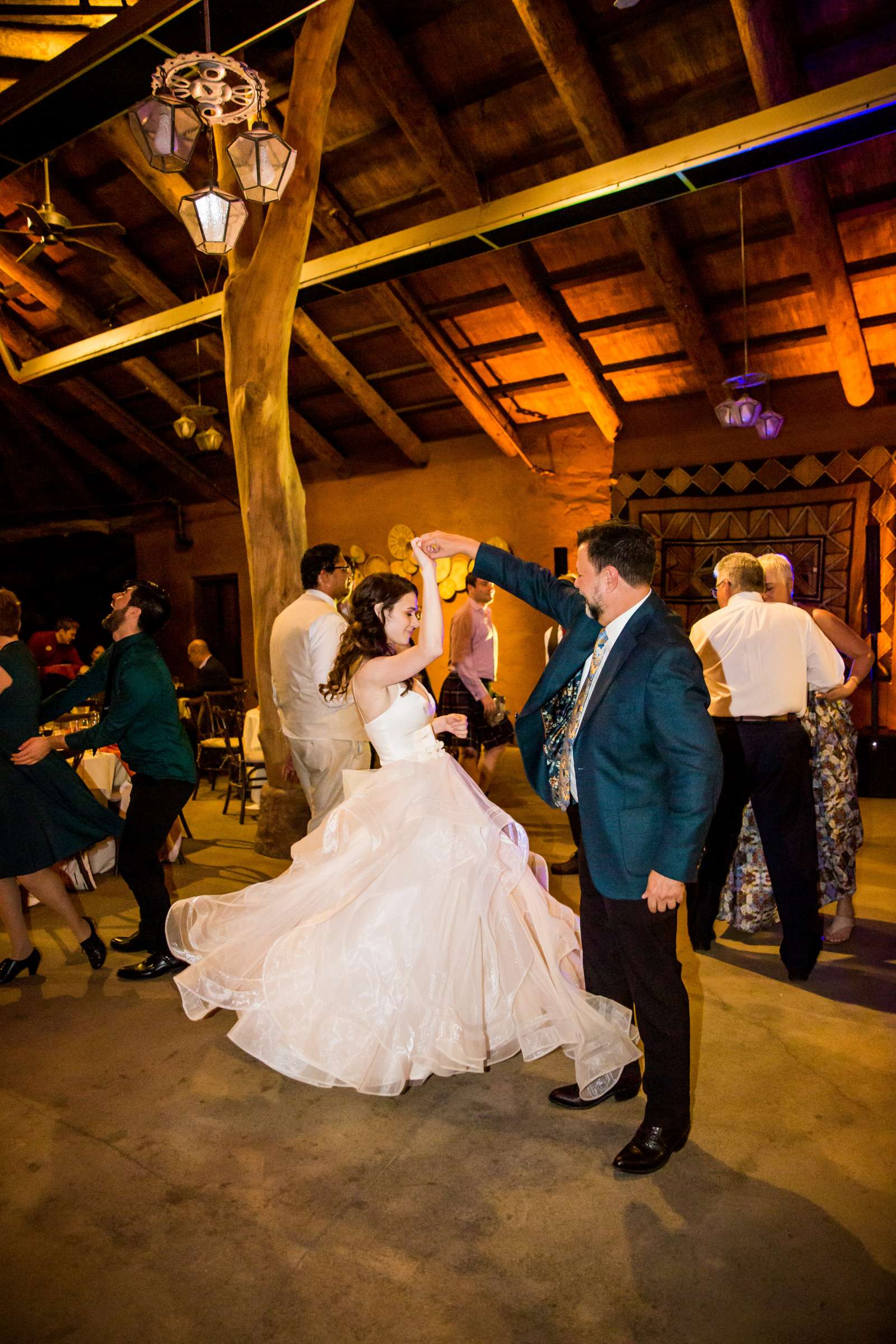 Safari Park Wedding coordinated by Always Flawless Productions, Lynx and Adam Wedding Photo #181 by True Photography