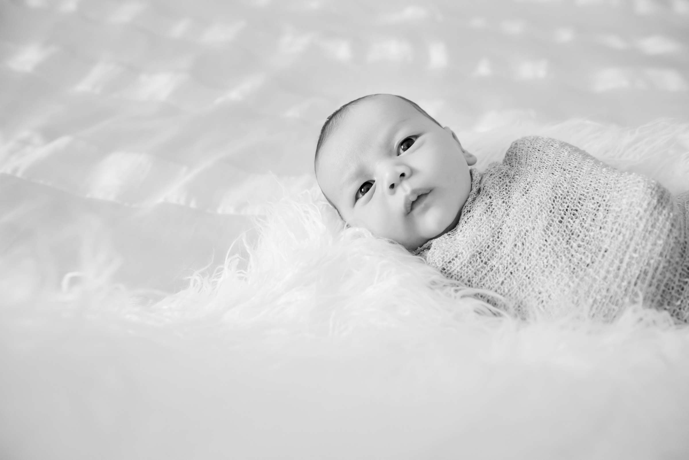 Newborn Photo Session, Jeanine Kolinko Newborn Photo #3 by True Photography